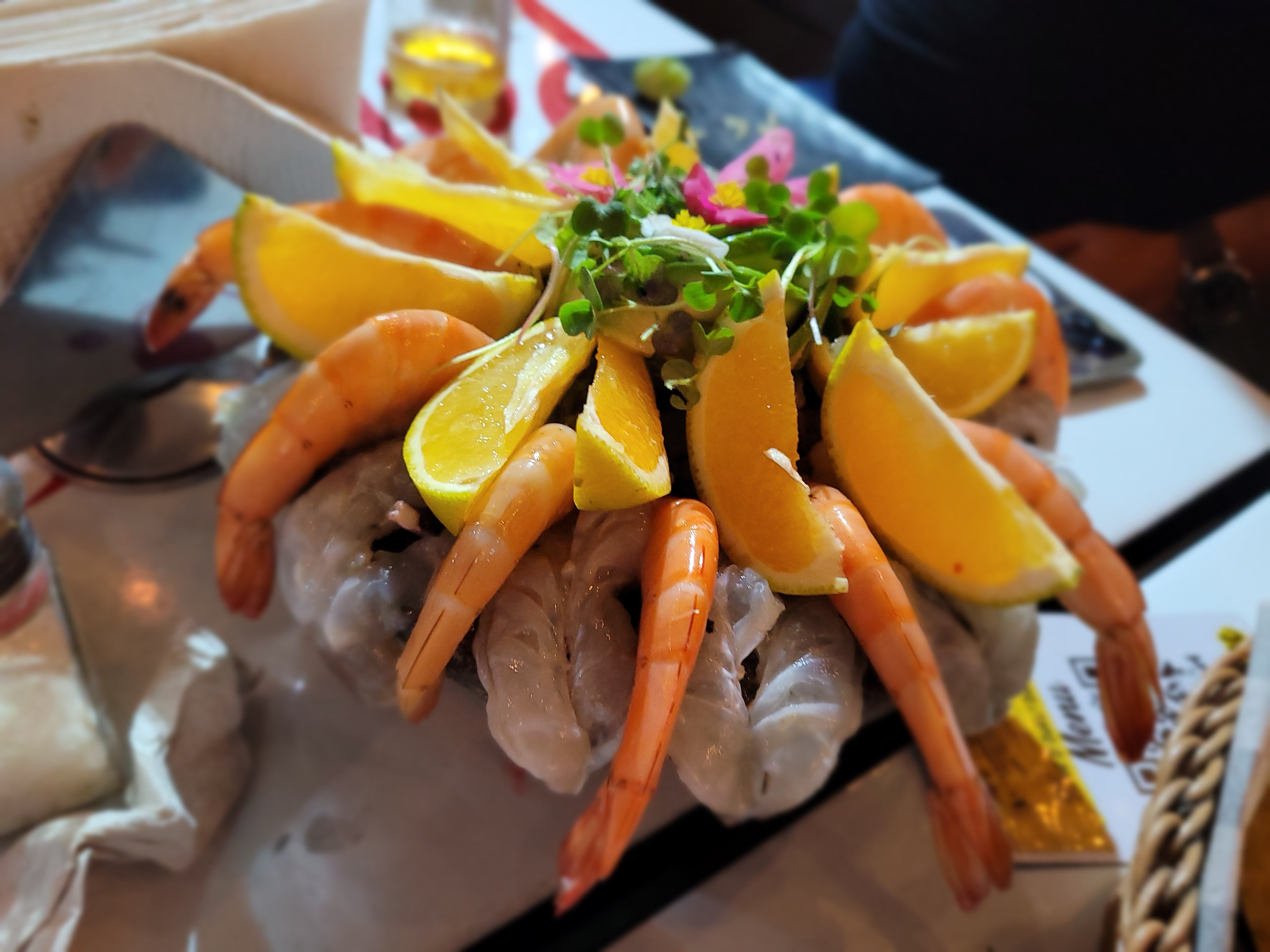 Mr sinaloa Barracruda image 10