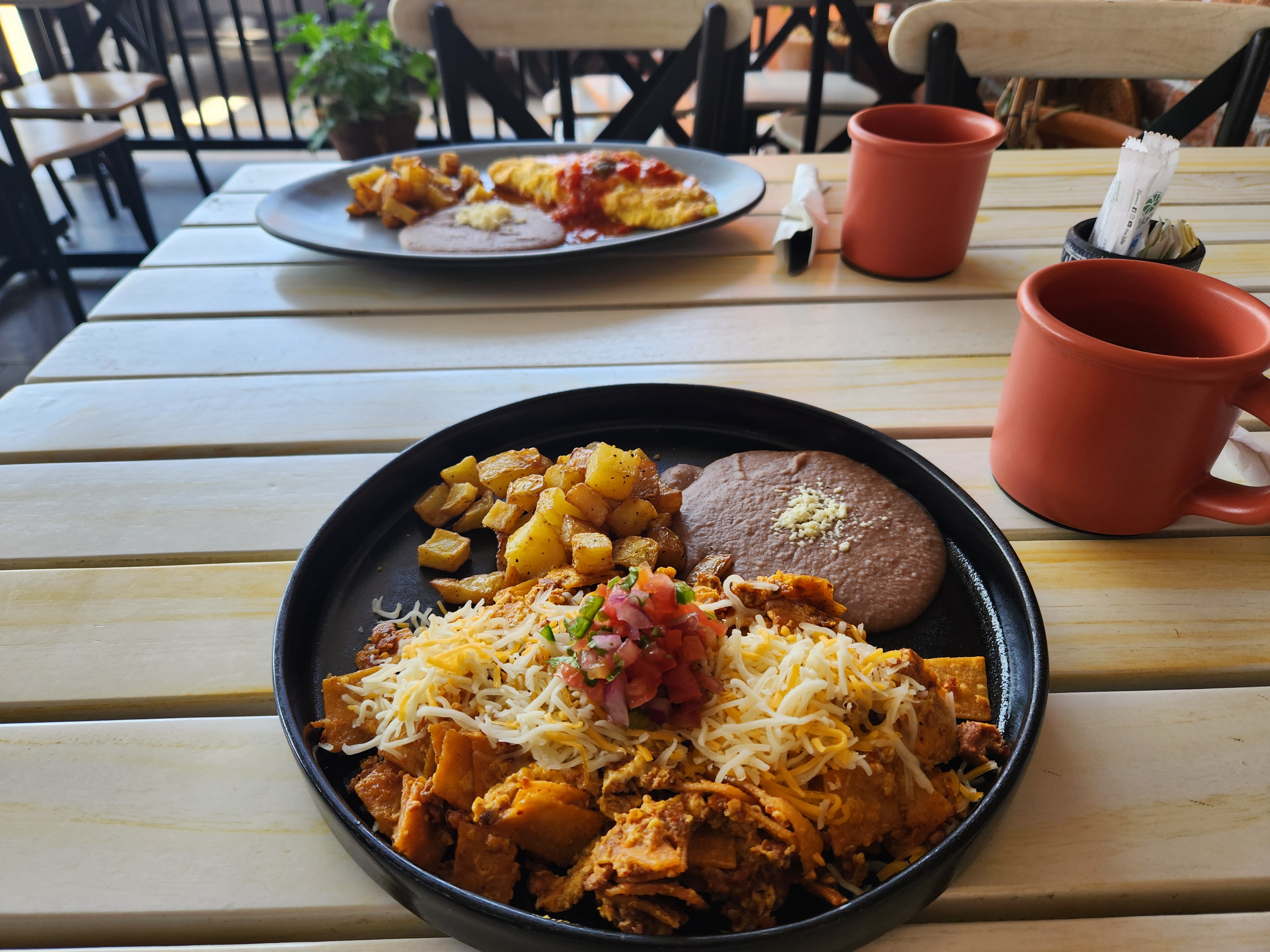 Terra Suculenta Brunch image 3