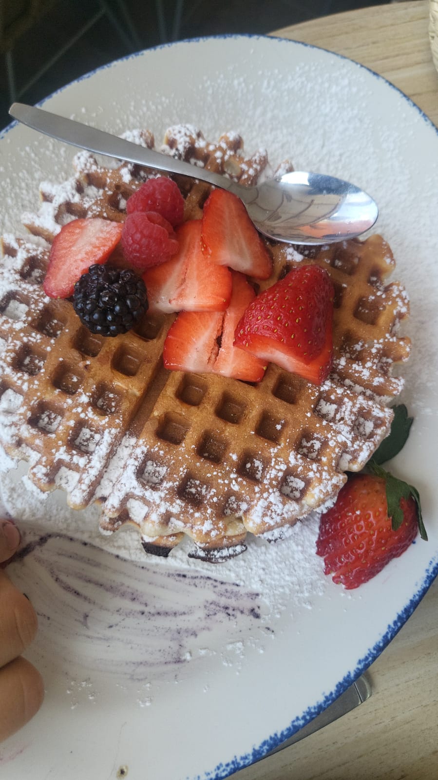 Terra Suculenta Brunch image 7