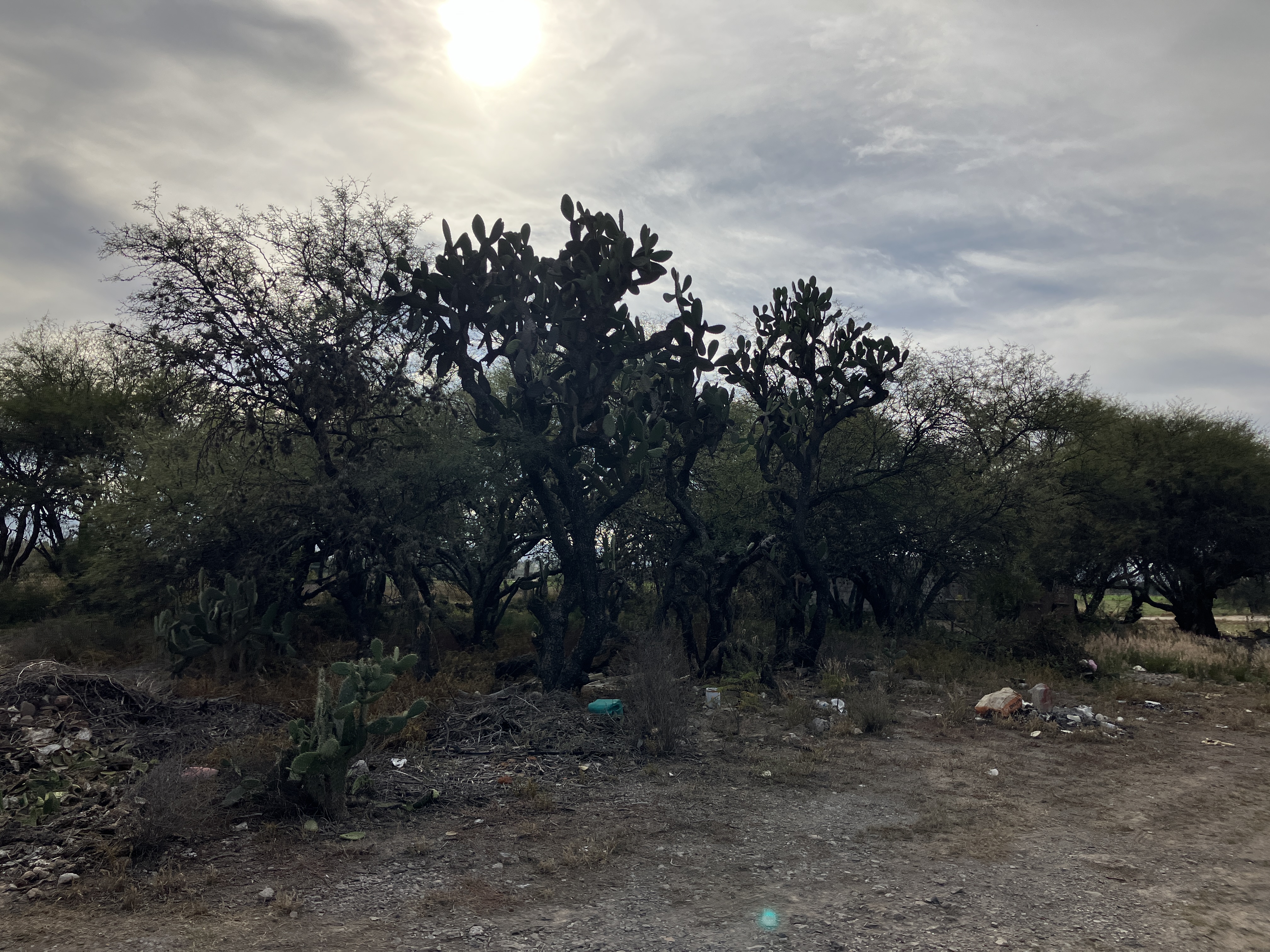 La Baticueva Pedro Escobedo image 9