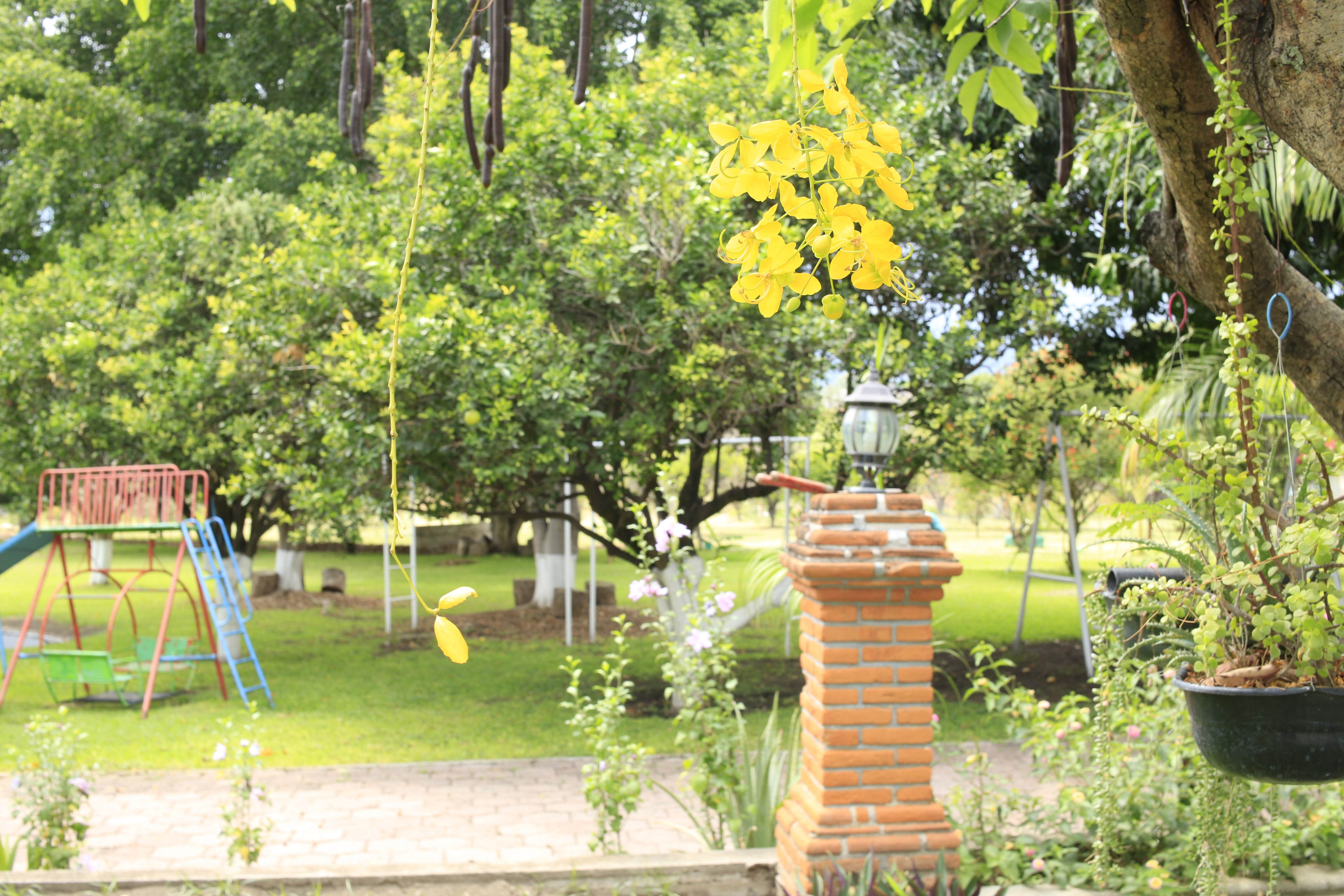 Restaurant "EL ITACATE" image 4