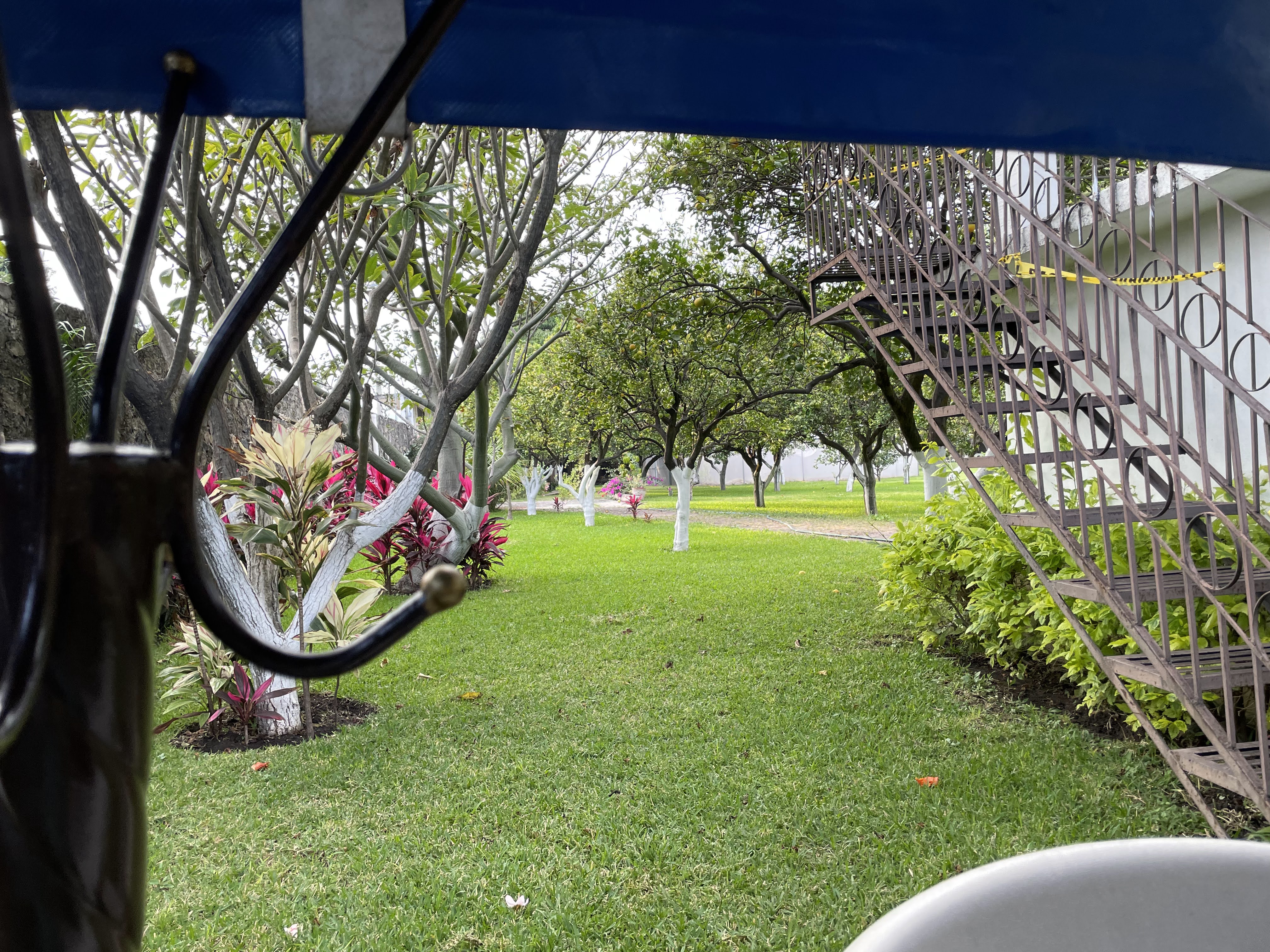 Restaurant "EL ITACATE" image 7