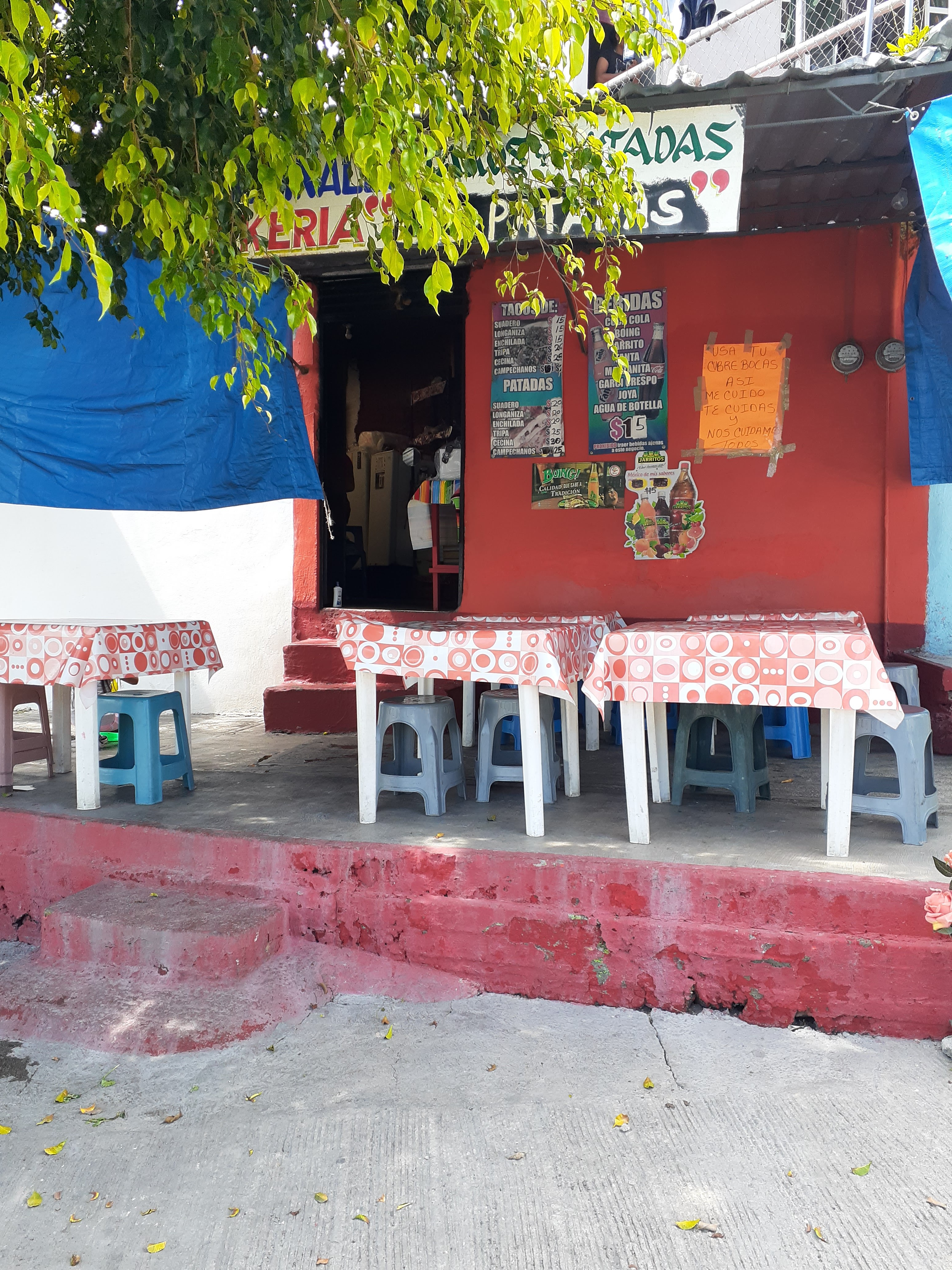 Taquería las patadas image 3