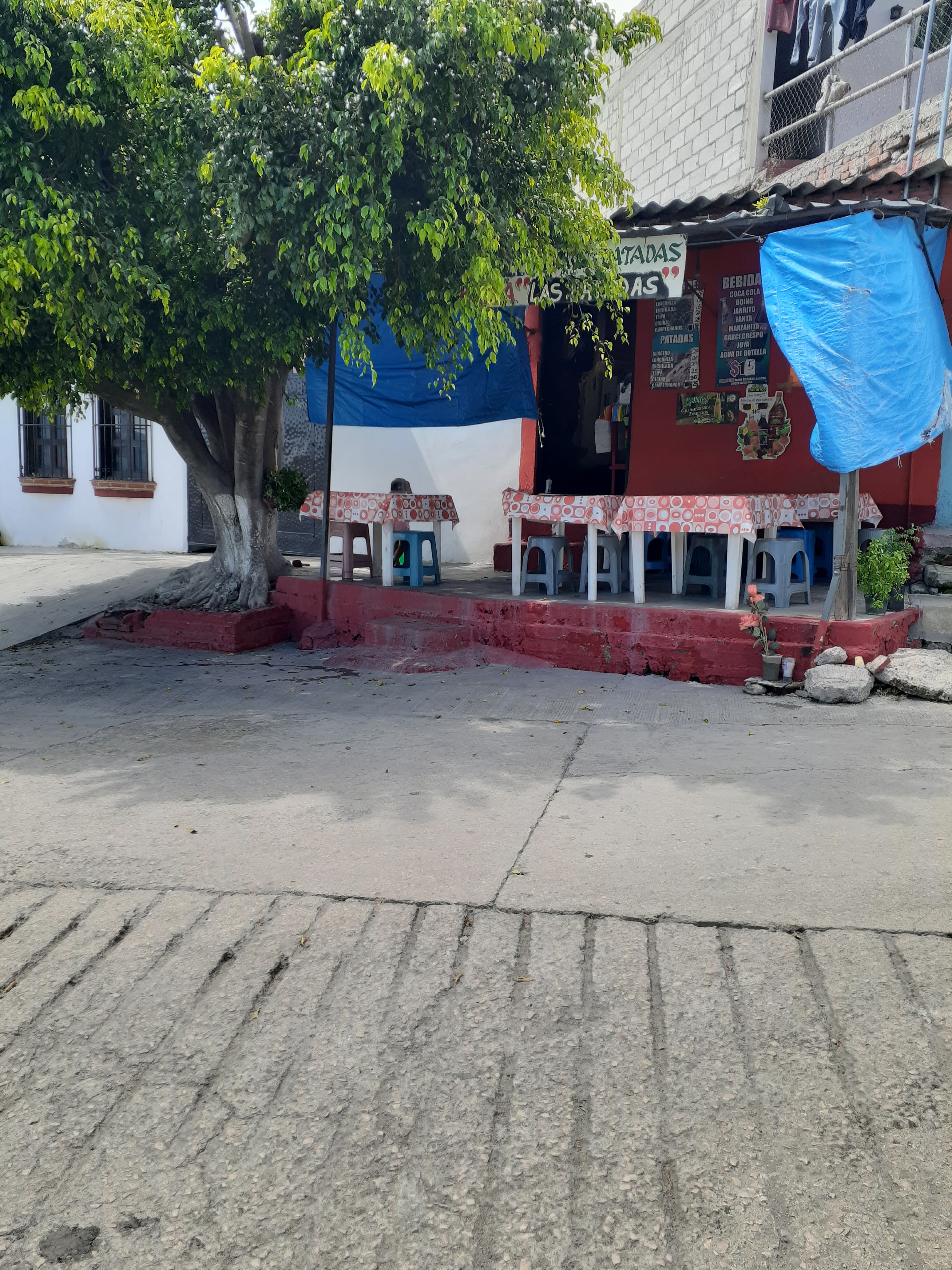 Taquería las patadas image 10