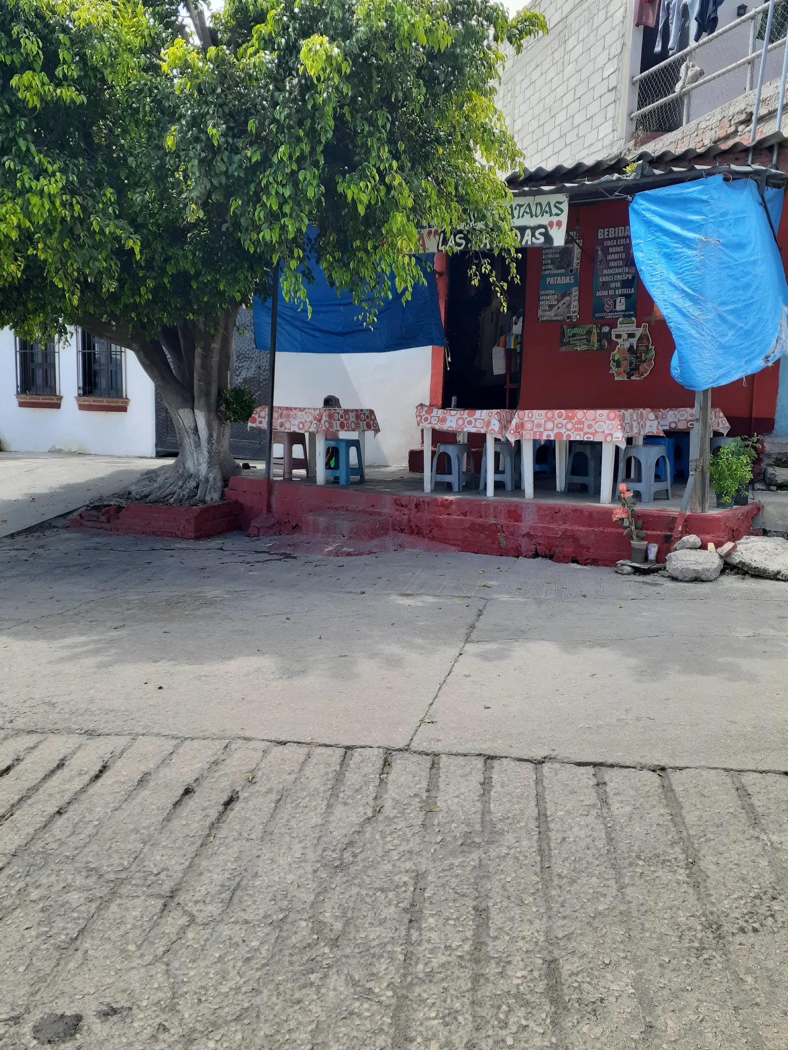 Taquería las patadas image 10