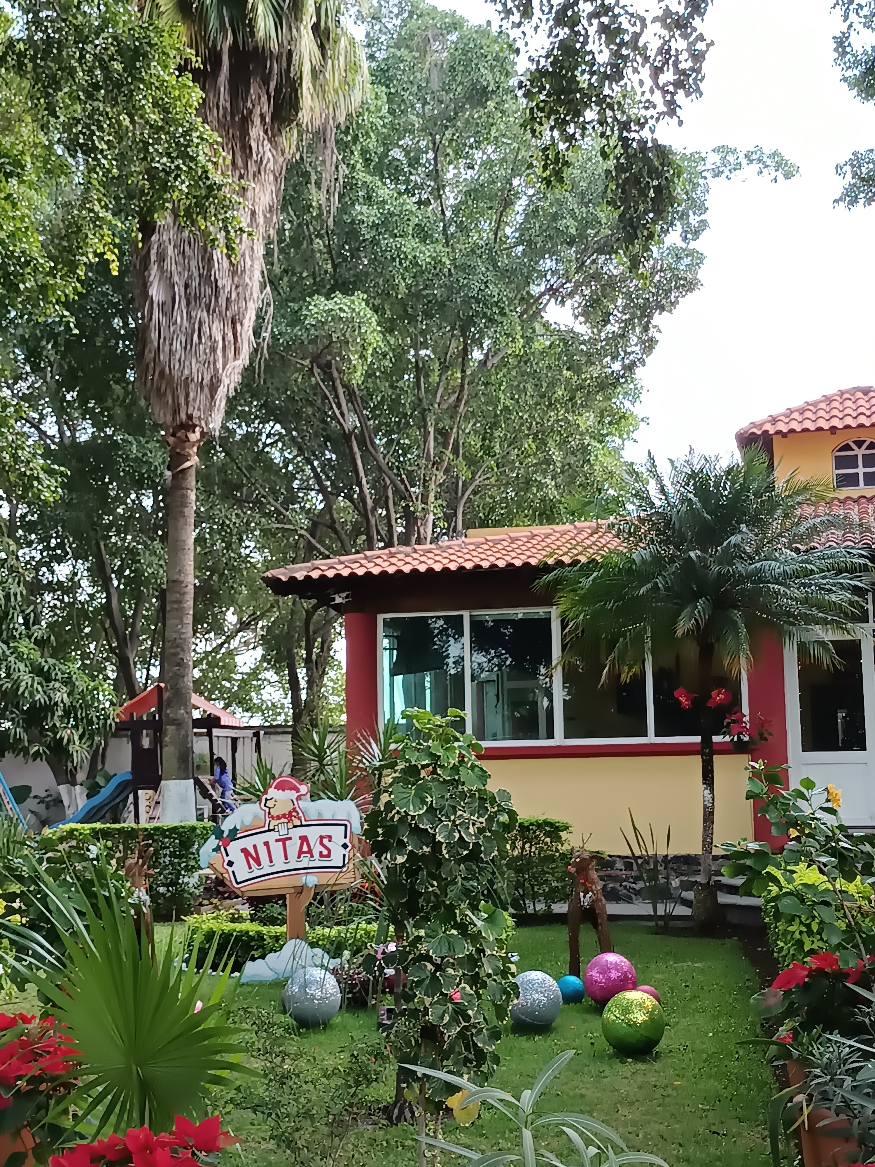 NITAS. Carnitas y comida mexicana image 4