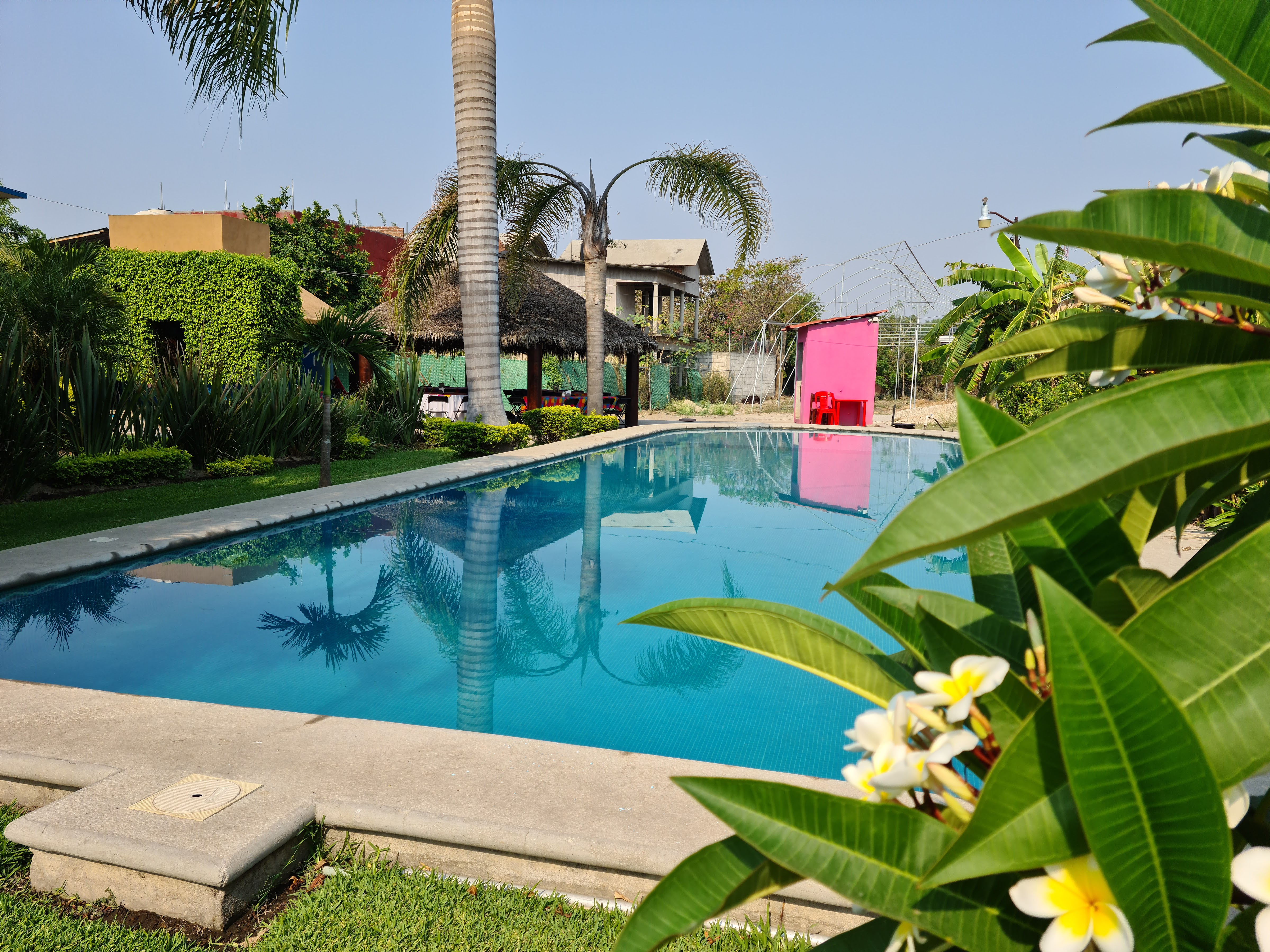 Xuni Buffet & Restaurante image 6