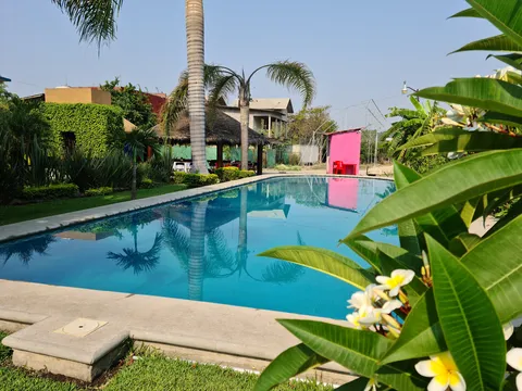 Xuni Buffet & Restaurante image 6