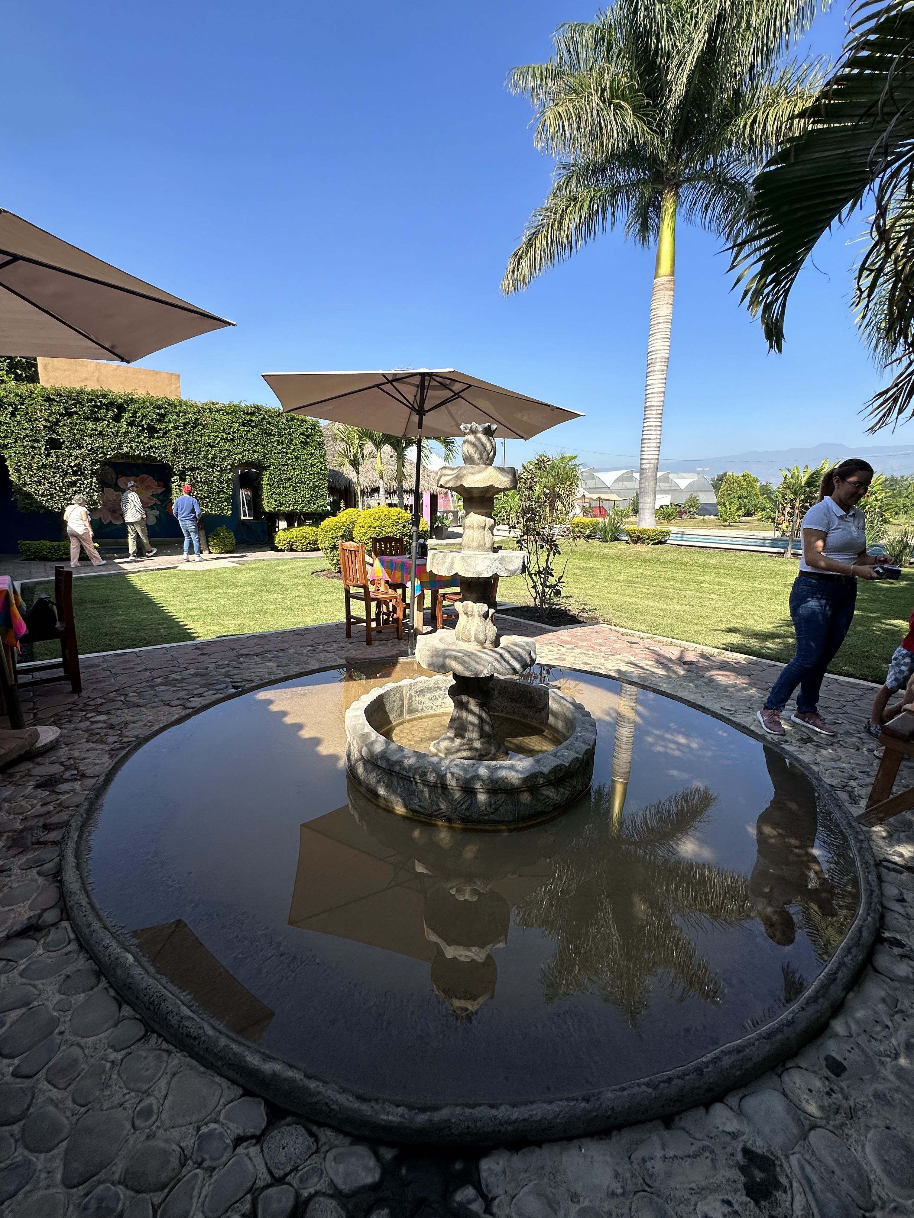 Xuni Buffet & Restaurante image 7