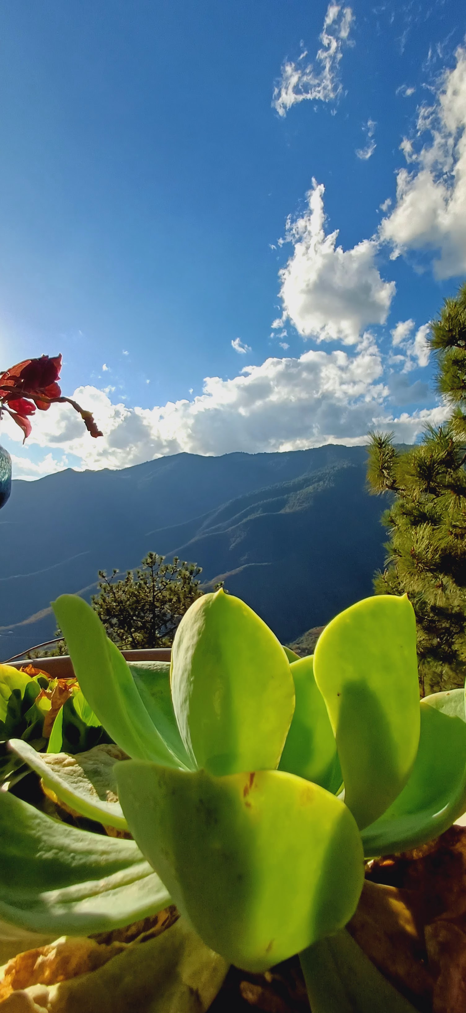 Restaurante El Mirador image 7