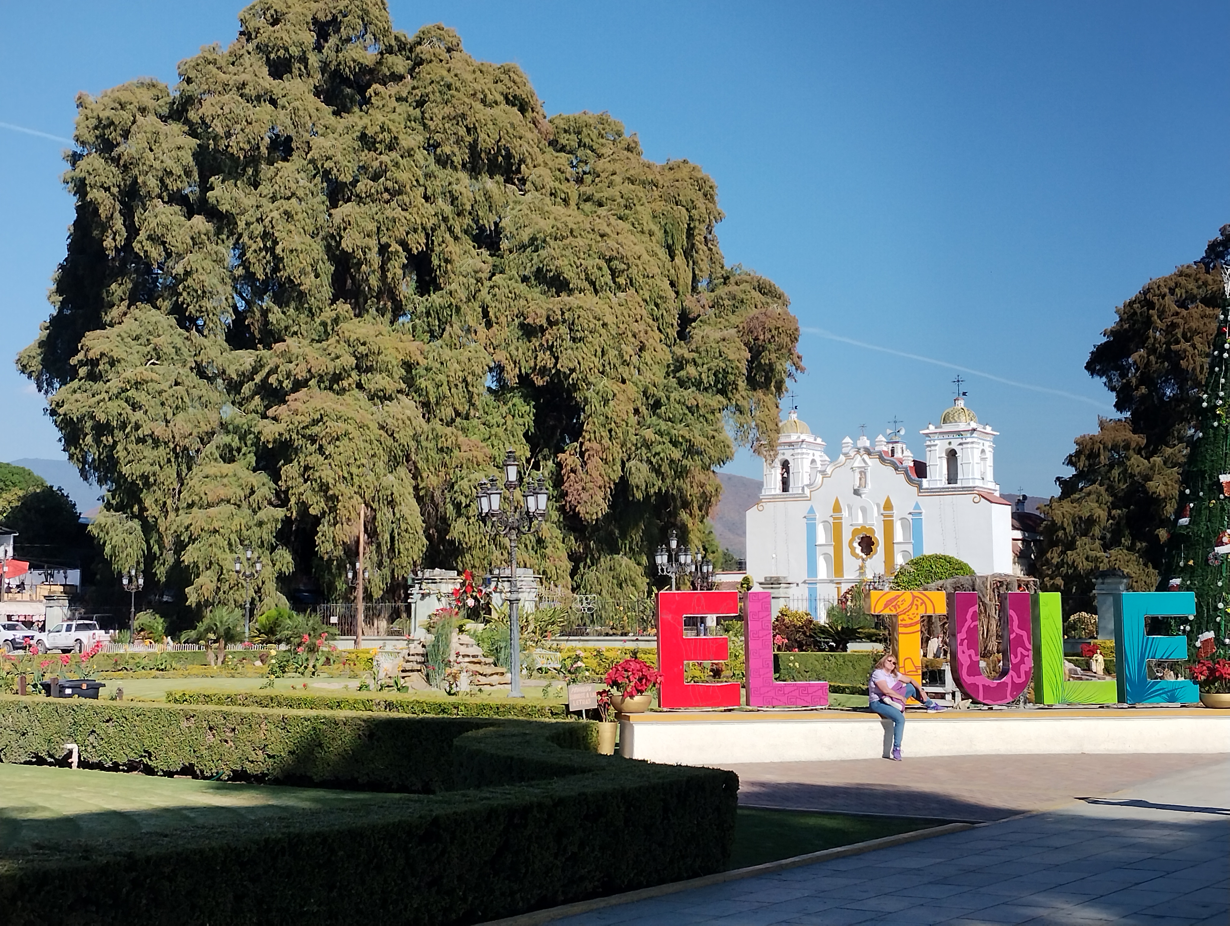 Comedor El Tule image 6