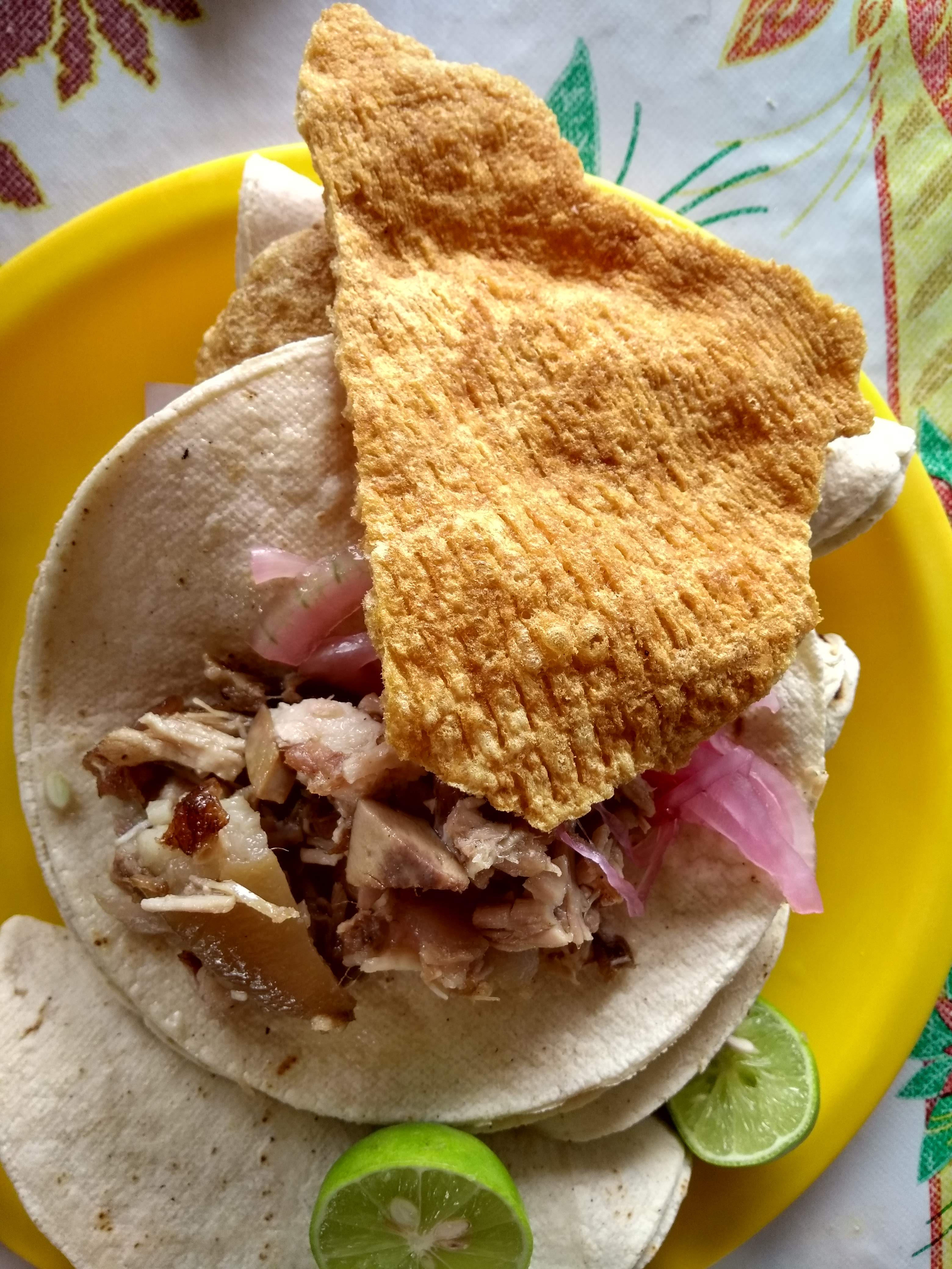Tacos y carnitas Gael" image 1