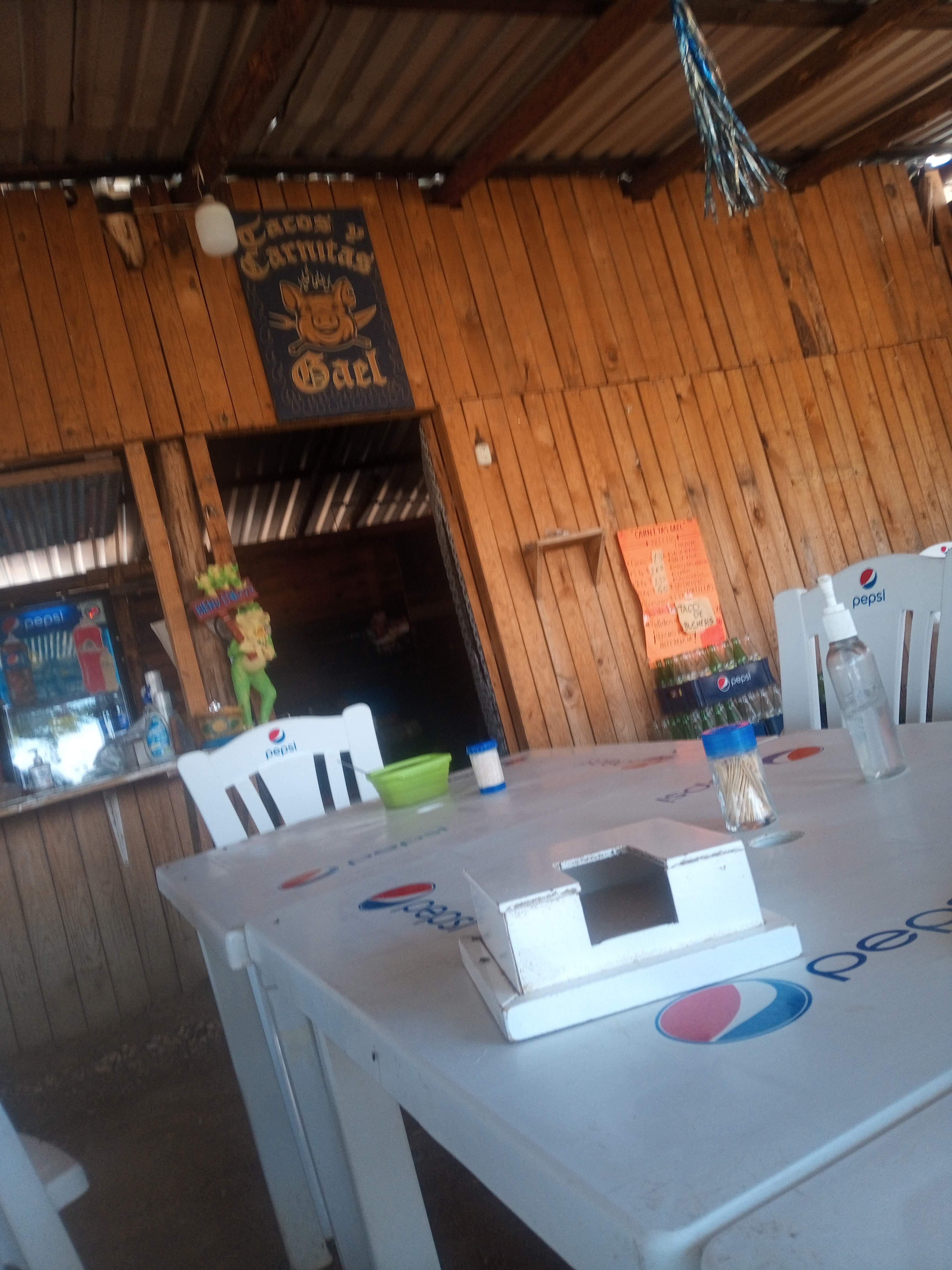 Tacos y carnitas Gael" image 2