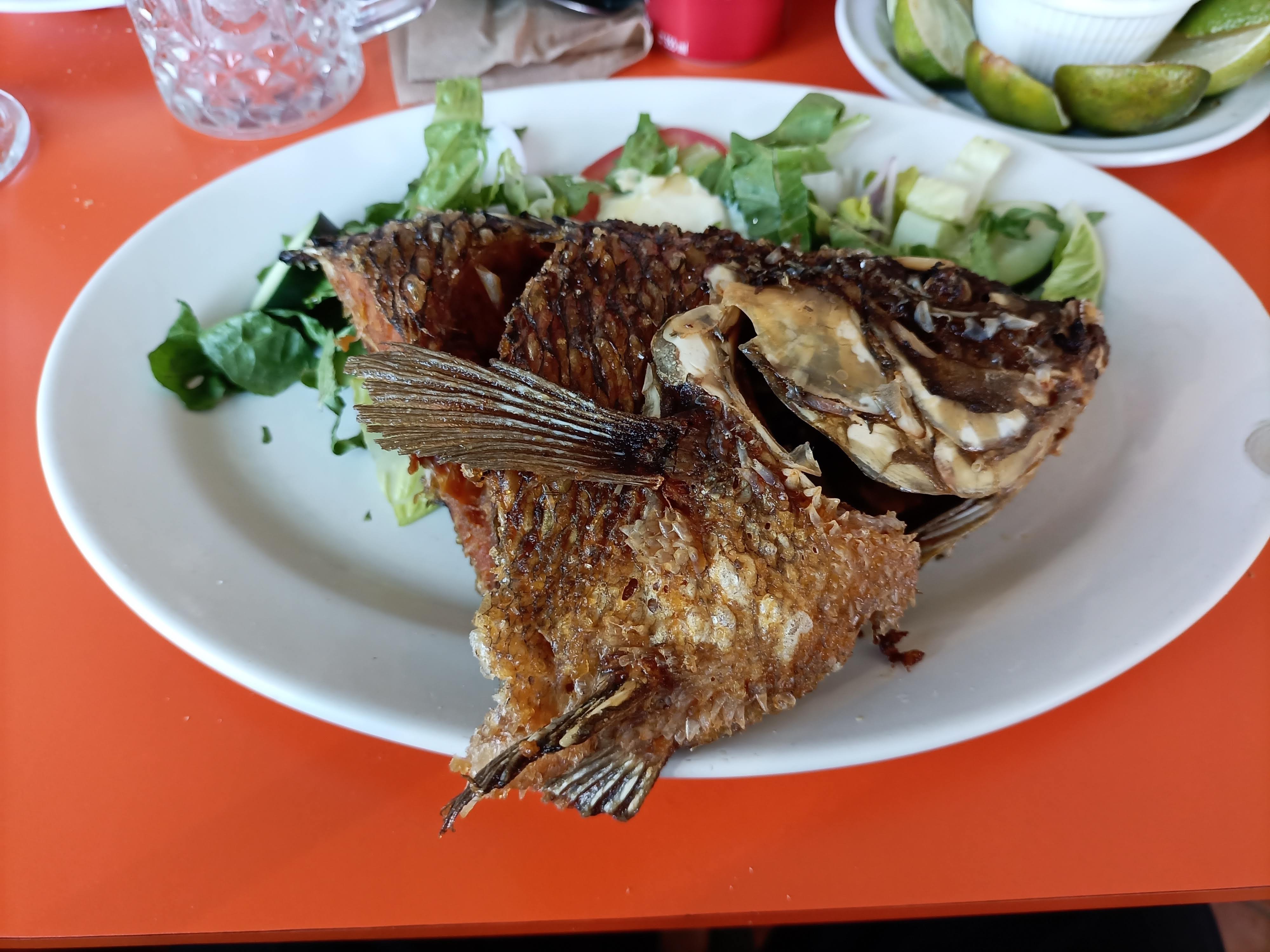 PESCADOS Y MARISCOS image 2