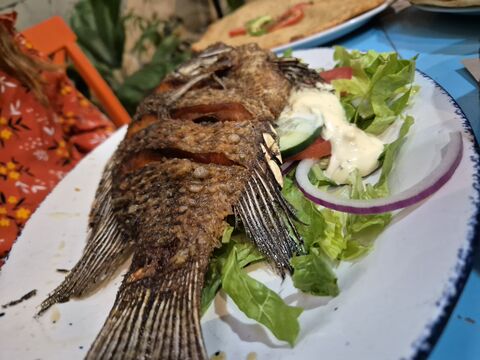 PESCADOS Y MARISCOS image 5