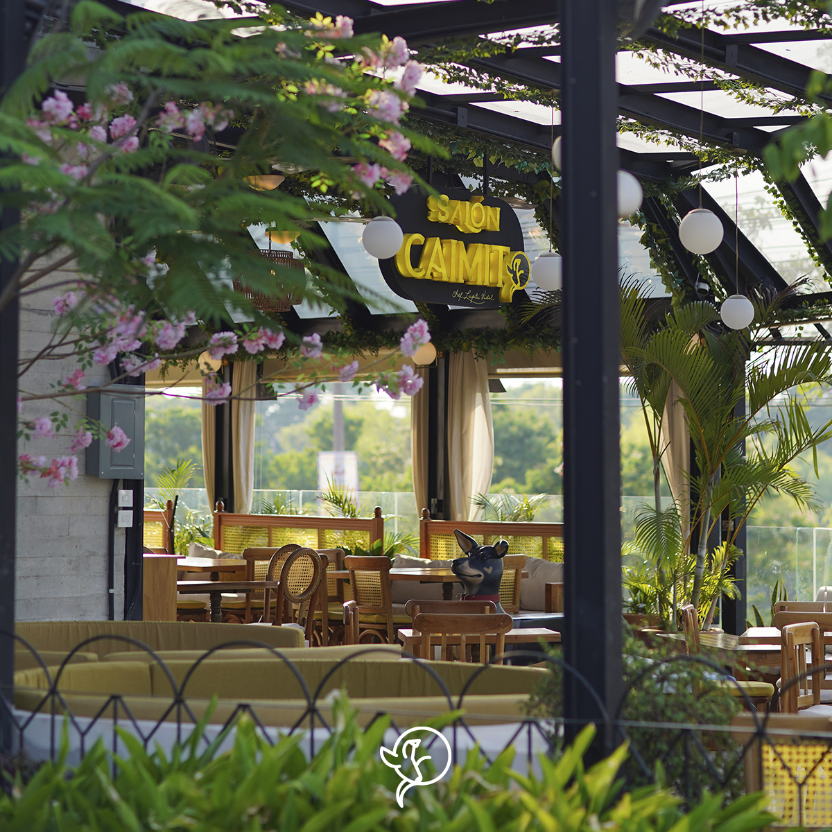 Salón Caimito image 6