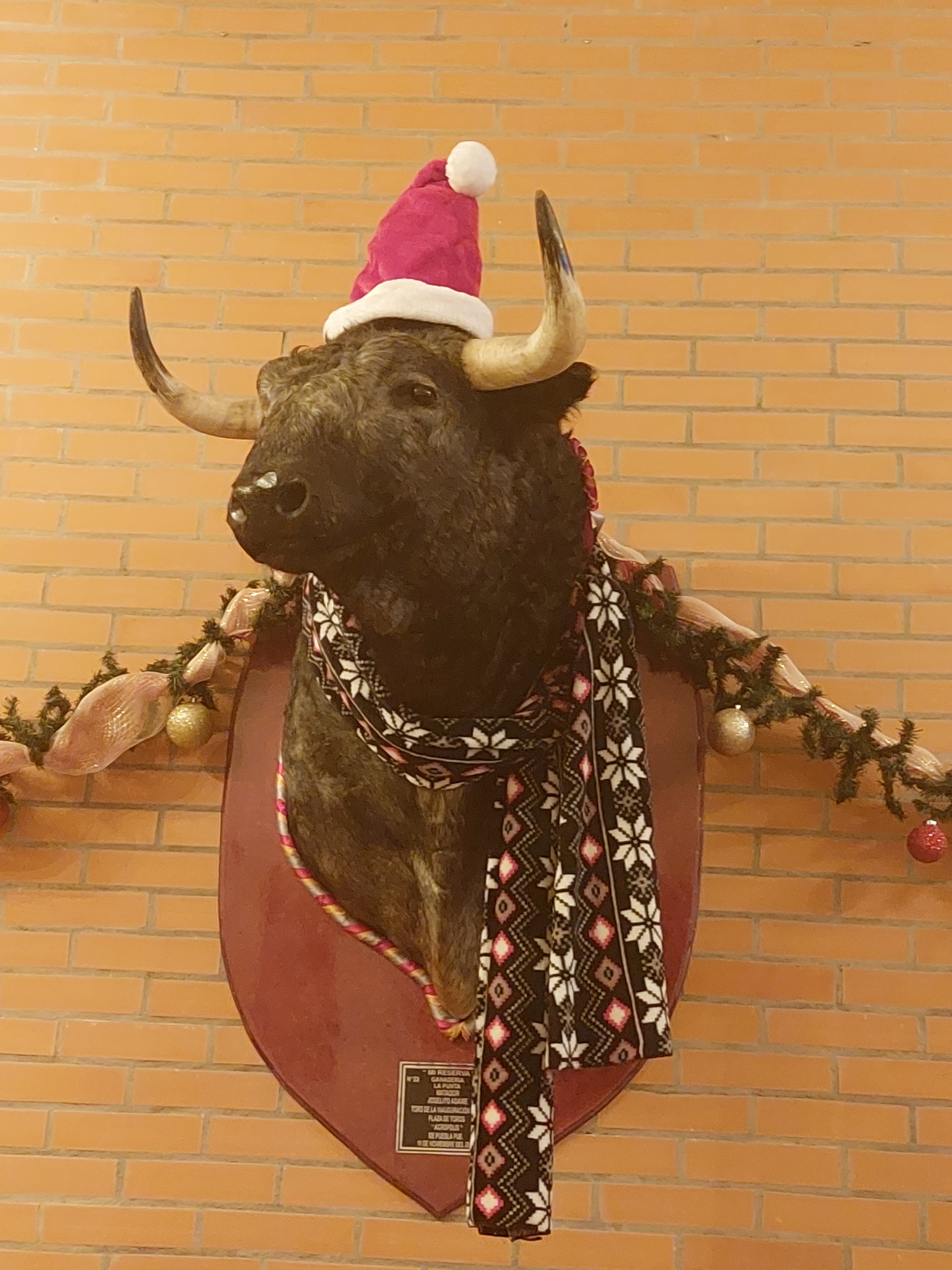 El Matador (Tabasco 2000) image 3