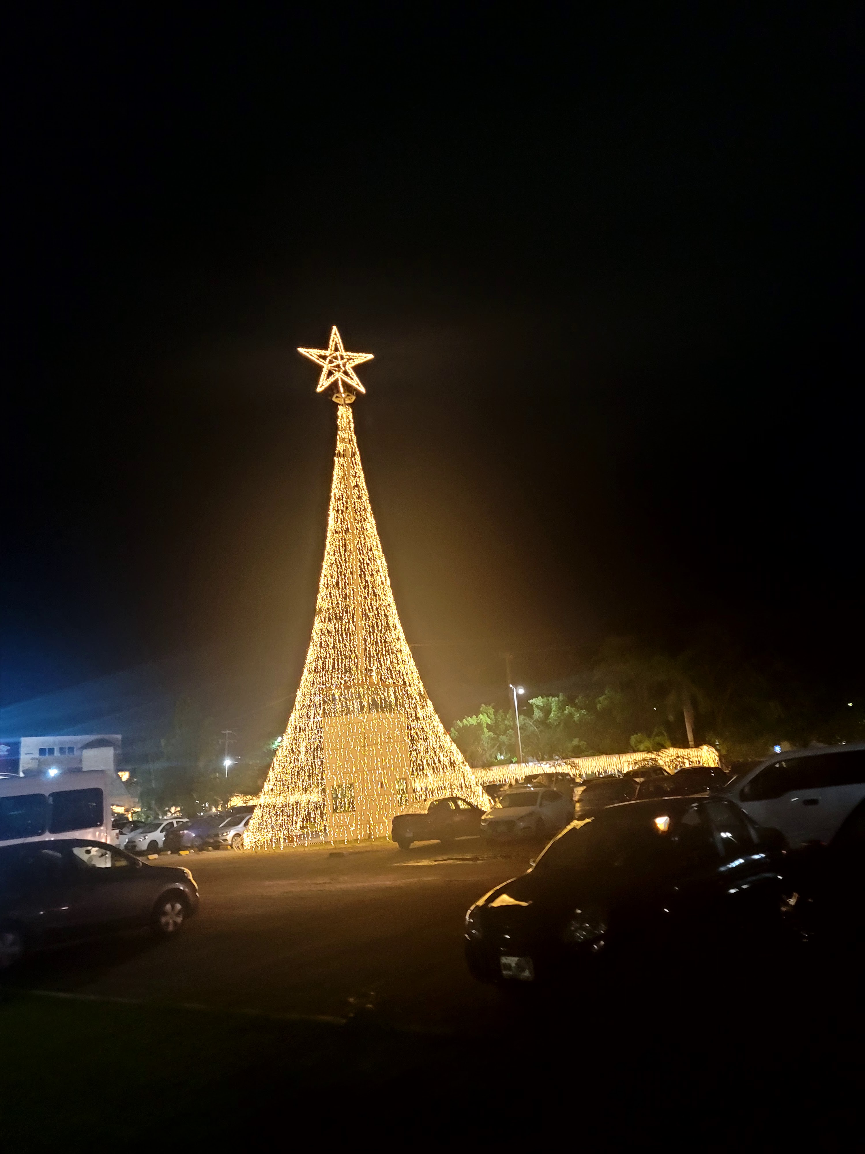 El Tio Koshy Birria & Tacos suc. antojeria foodpark image 6