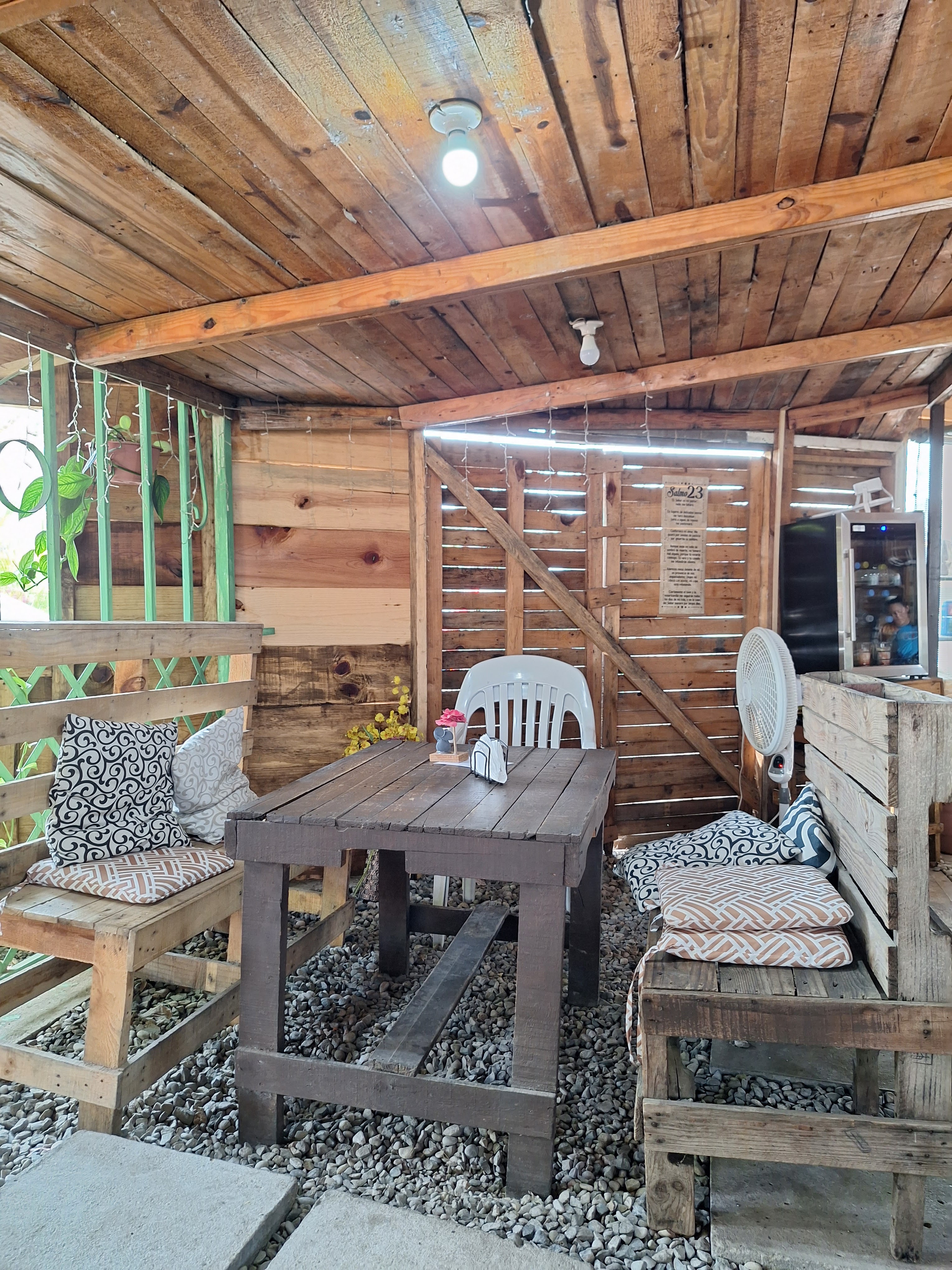 Genesis 1:29 image 5