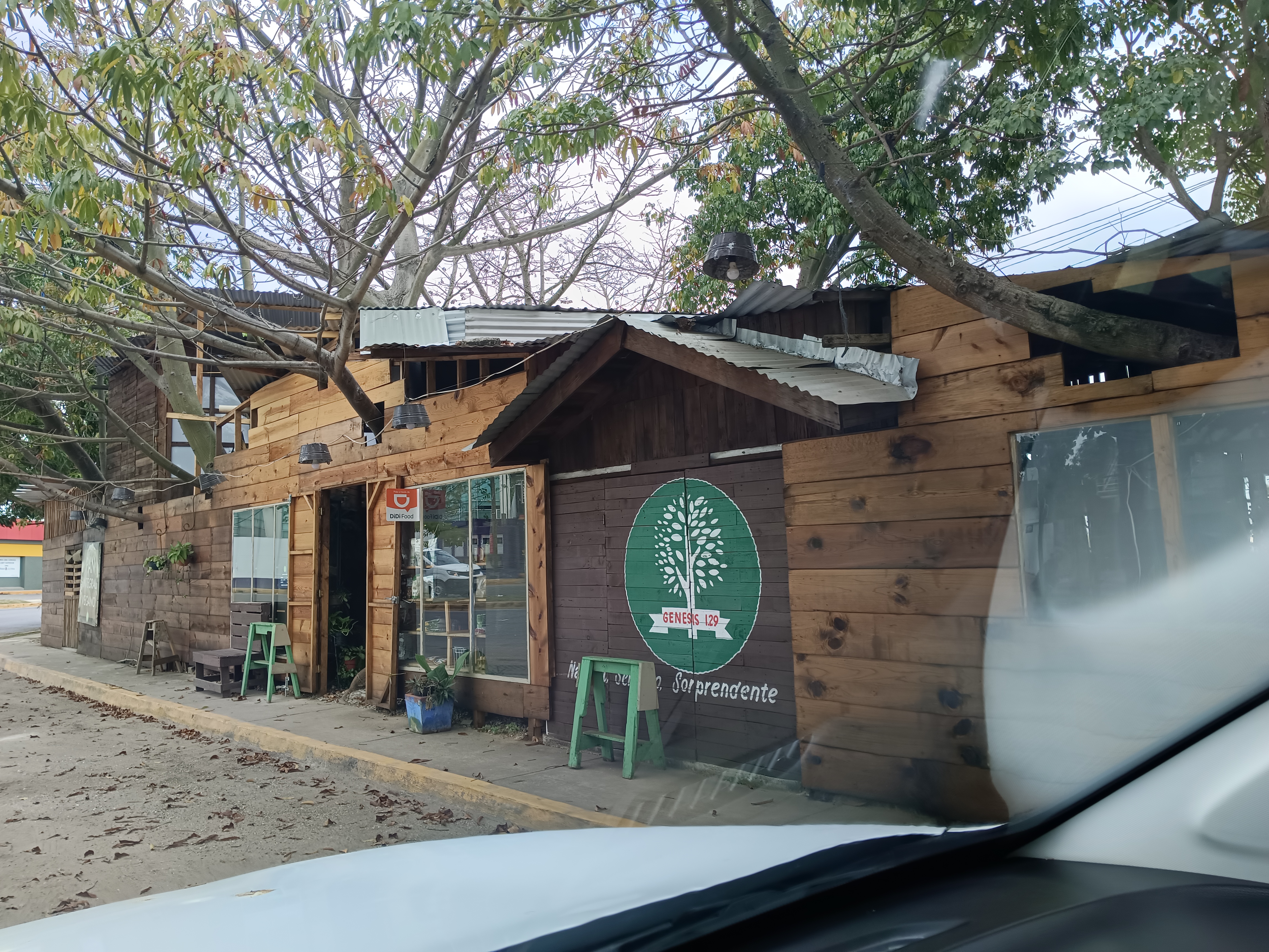 Genesis 1:29 image 7