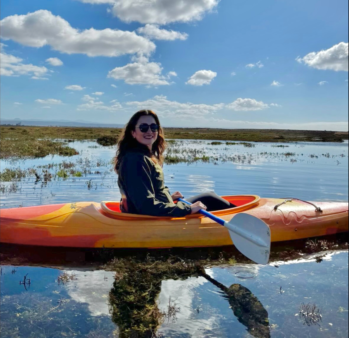 Los humedales image 3