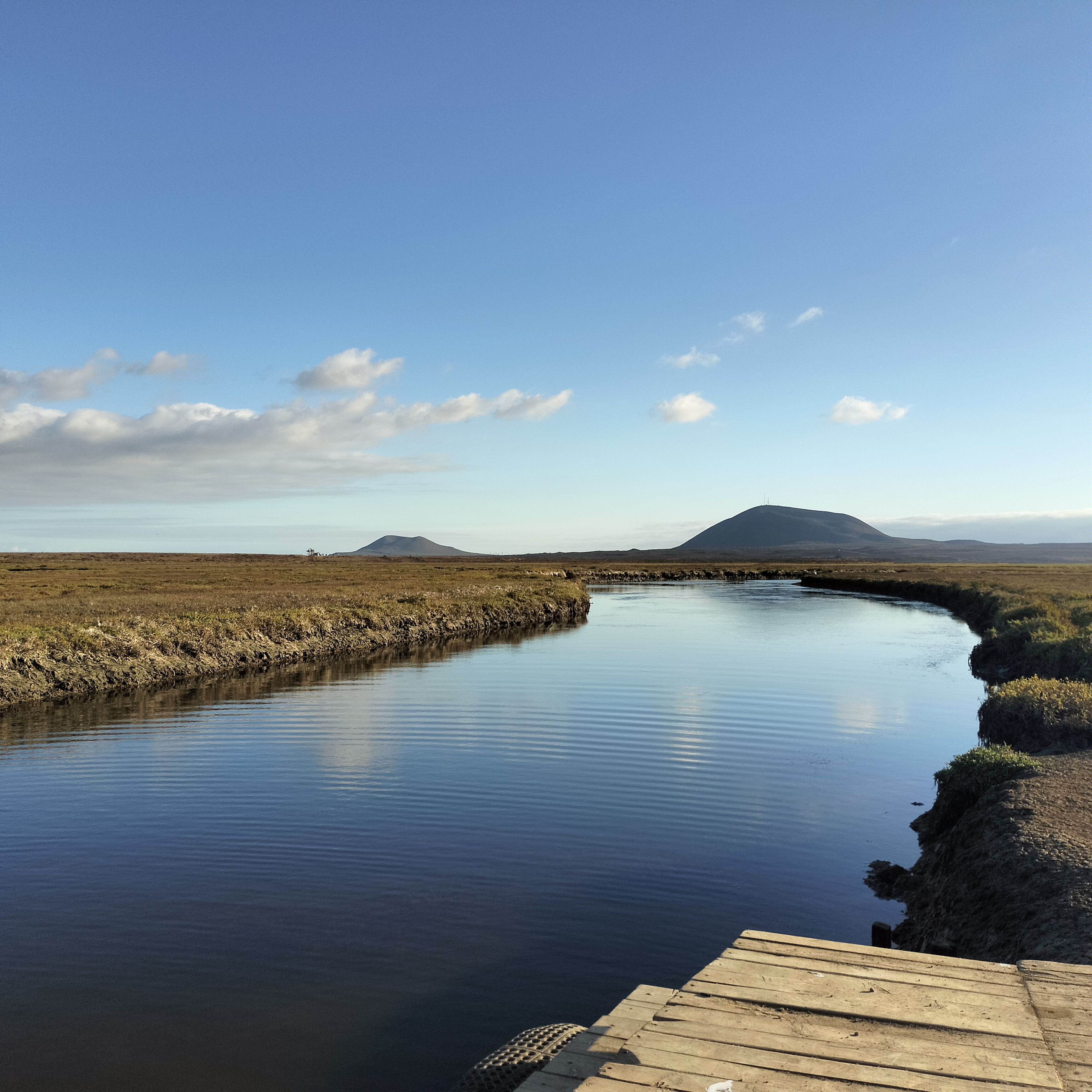 Los humedales image 4