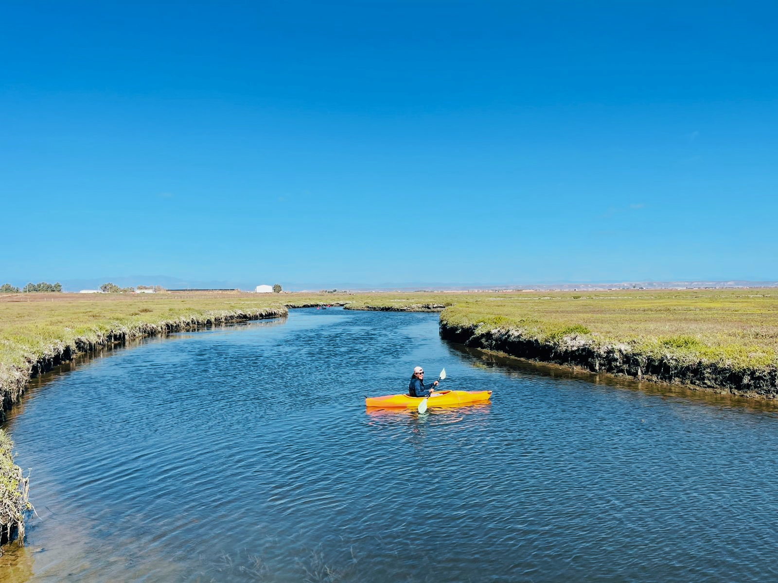 Los humedales image 6