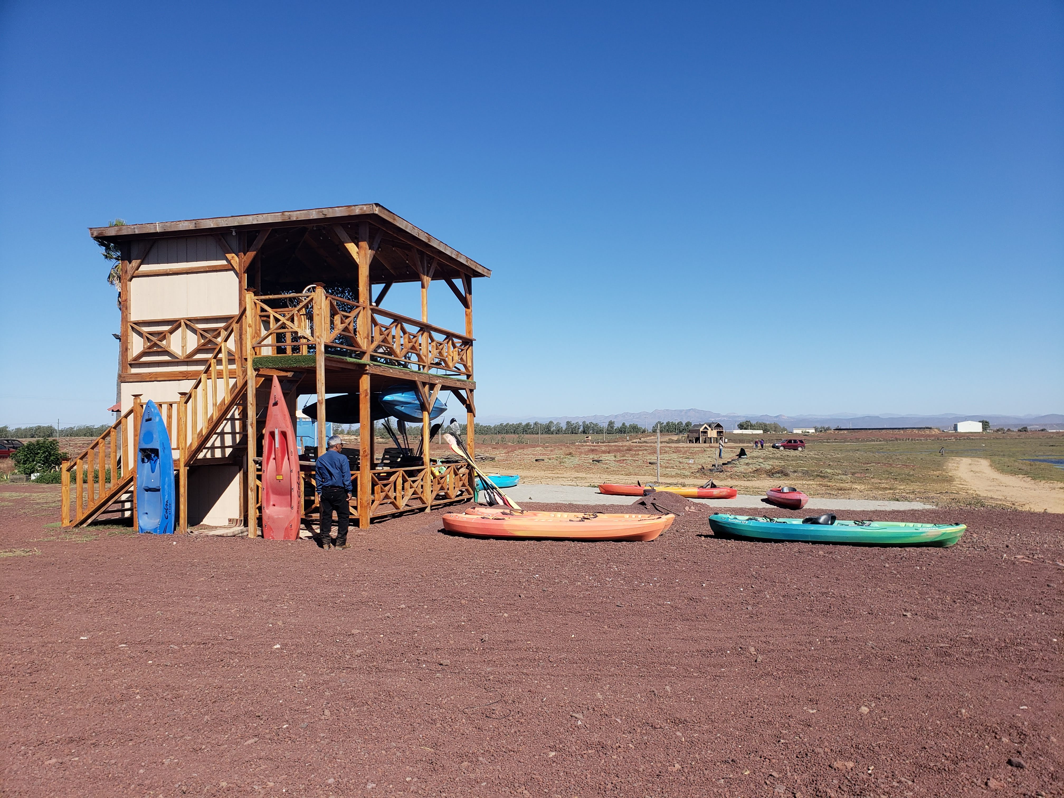 Los humedales image 10