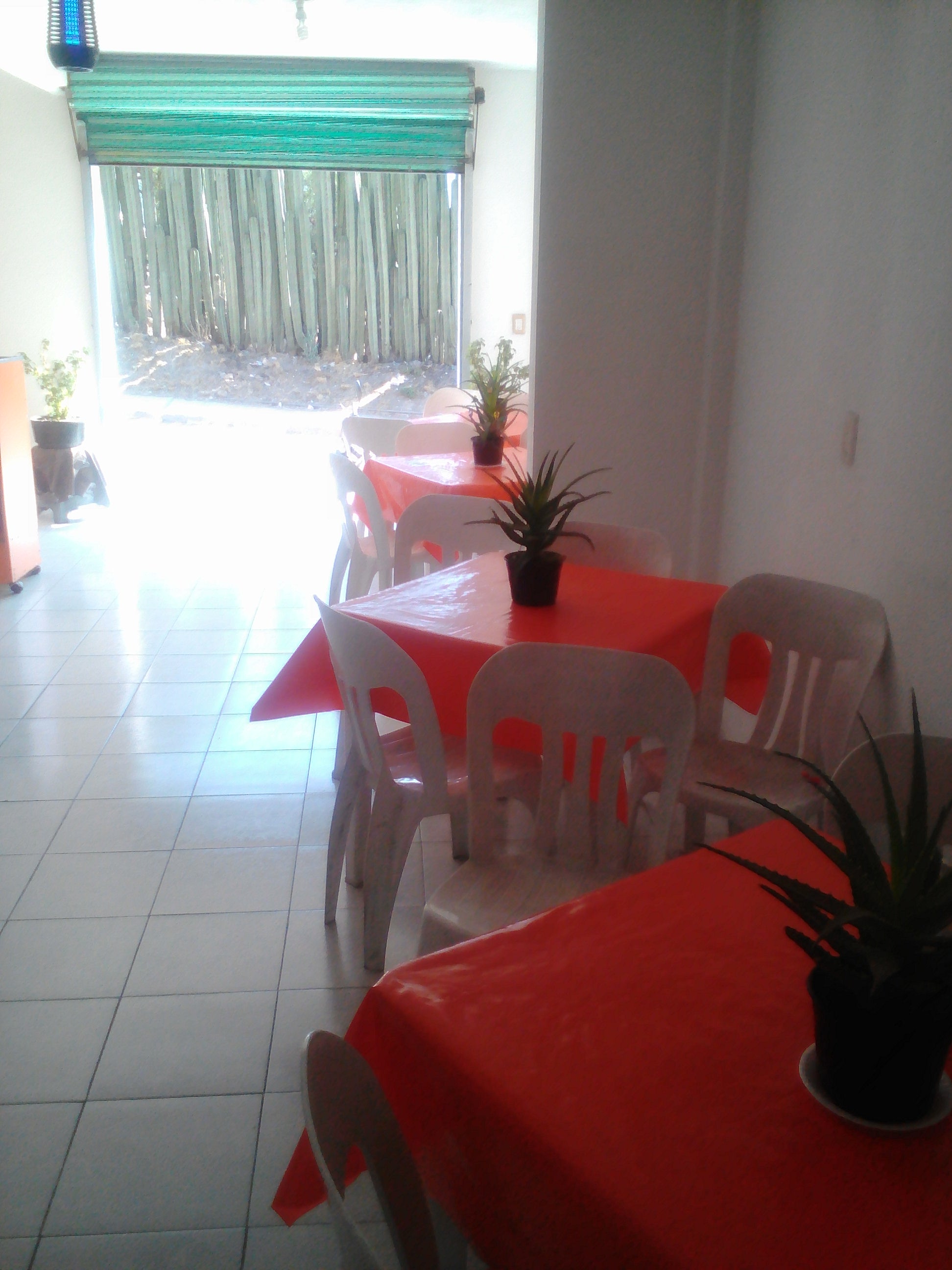 Rosticeria El pollo "T" image 6