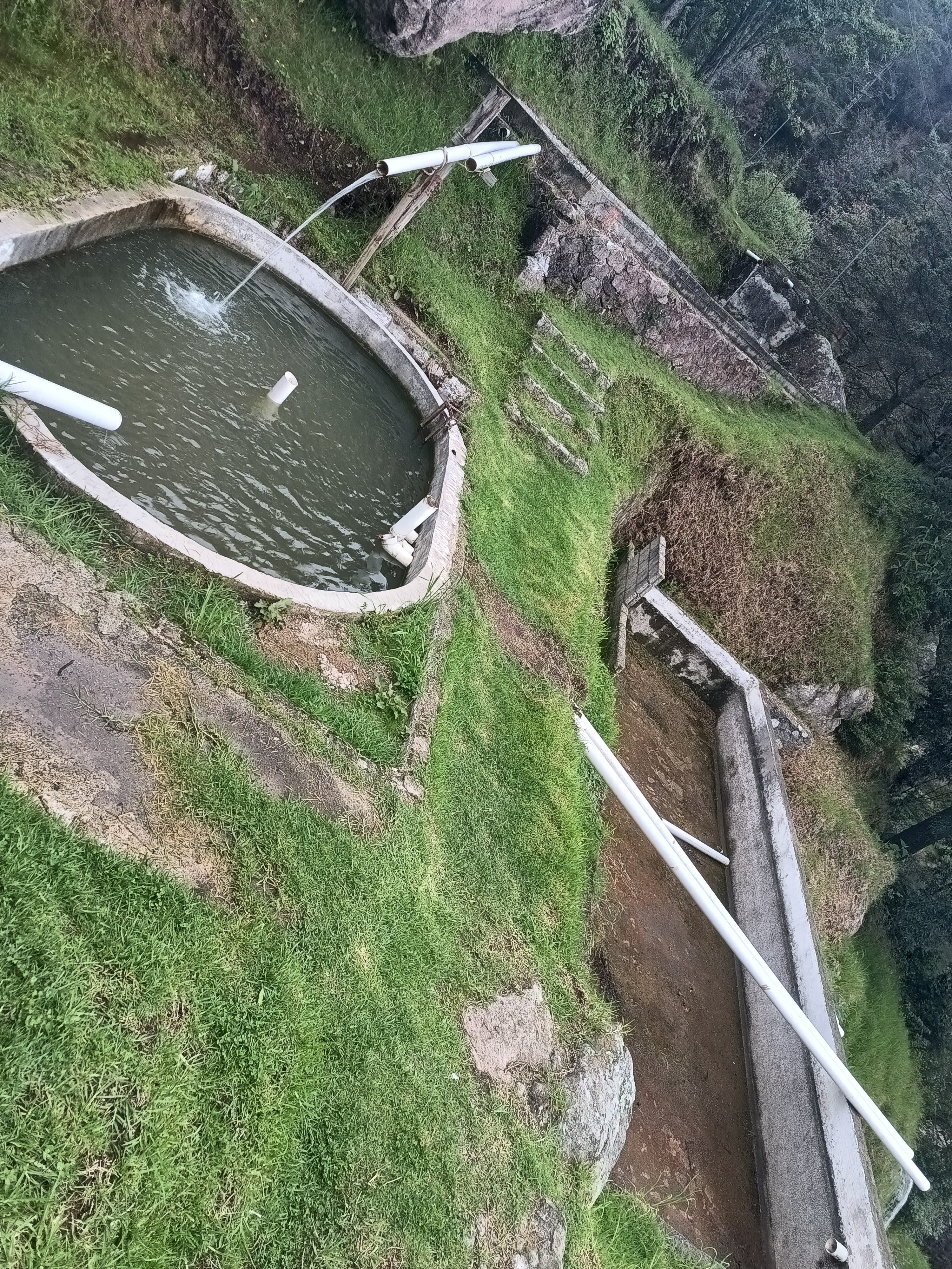 La Trucha Feliz Restaurante y Criadero image 4