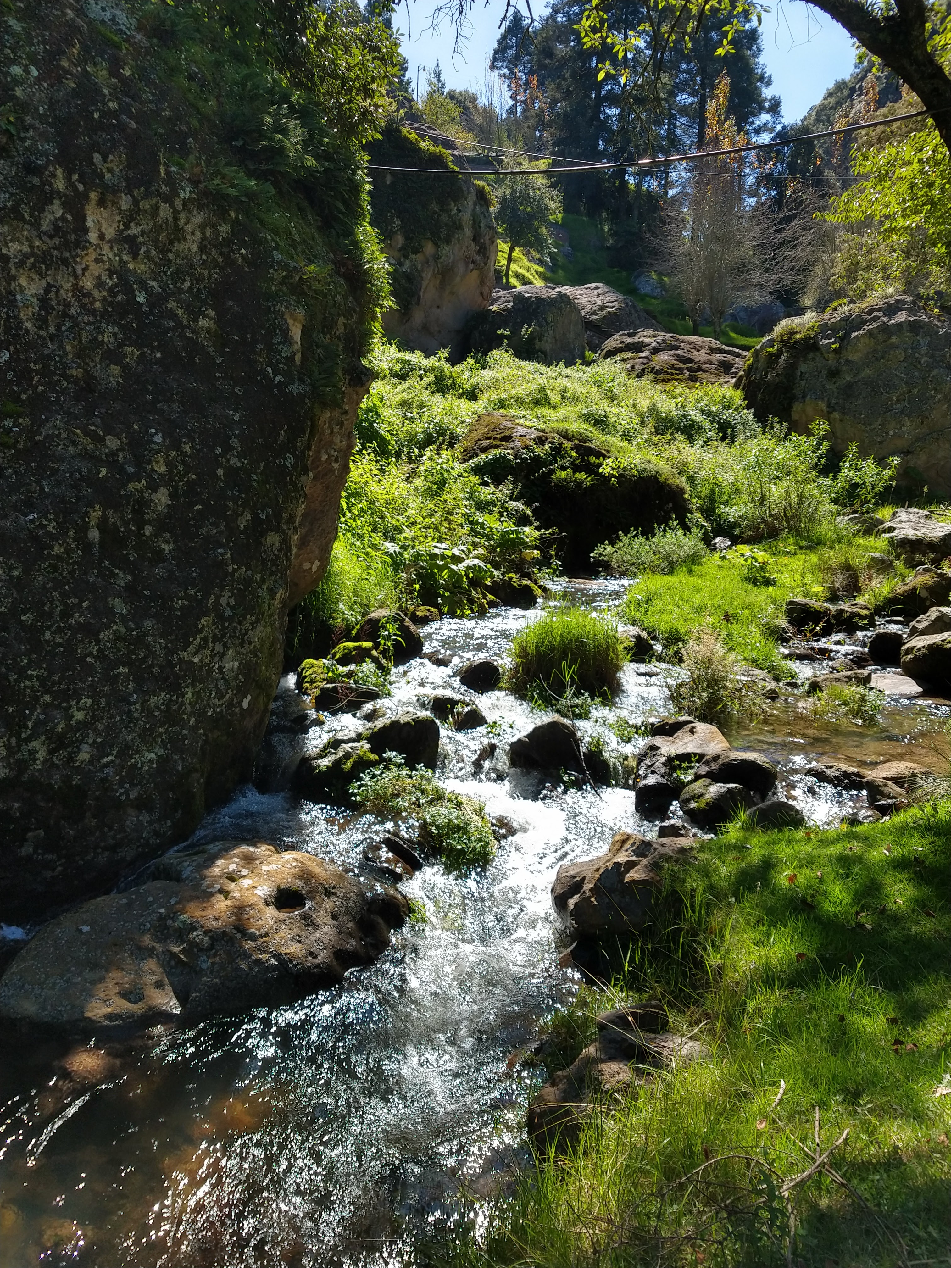 La Trucha Feliz Restaurante y Criadero image 9