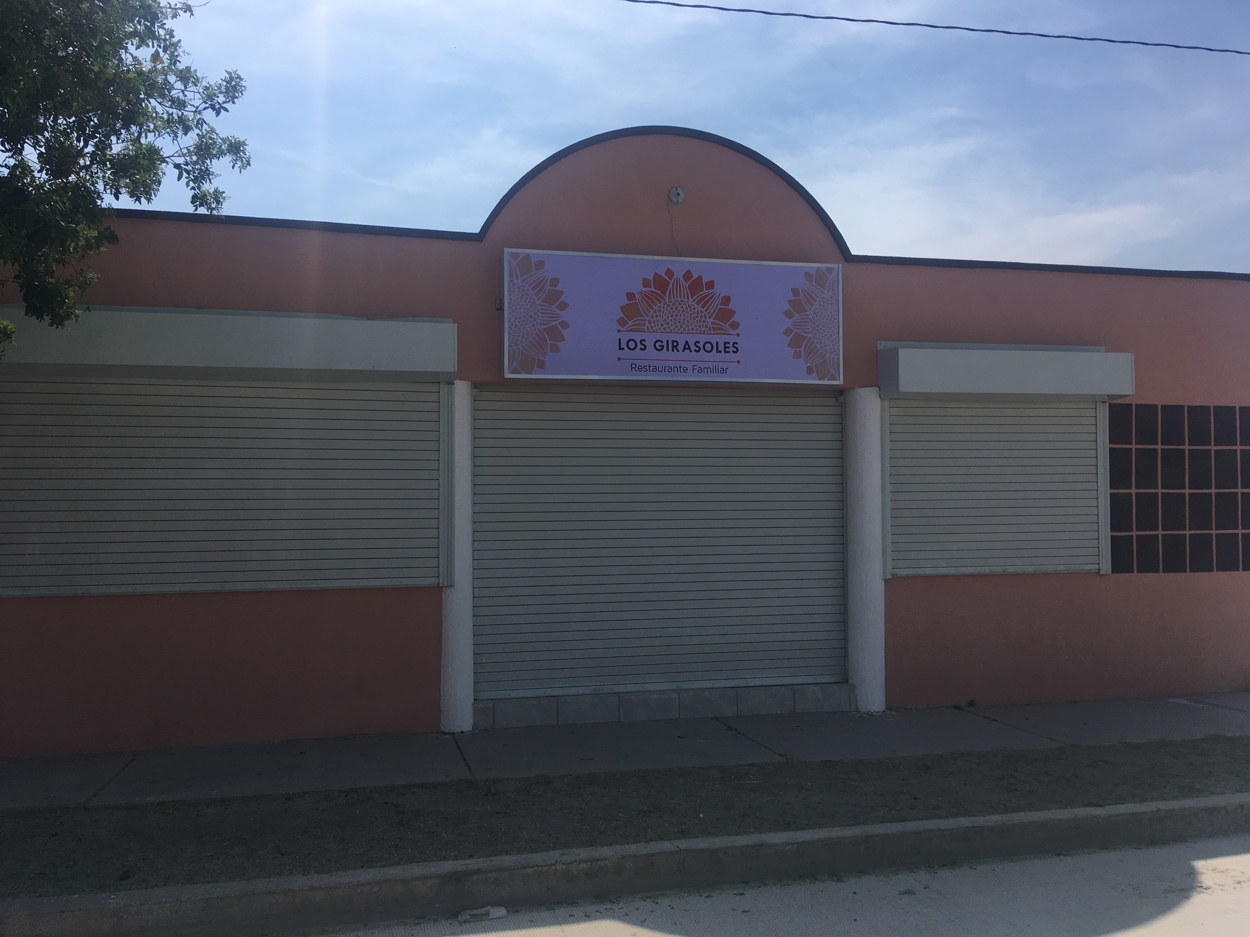 los girasoles restaurant & bar. image 1