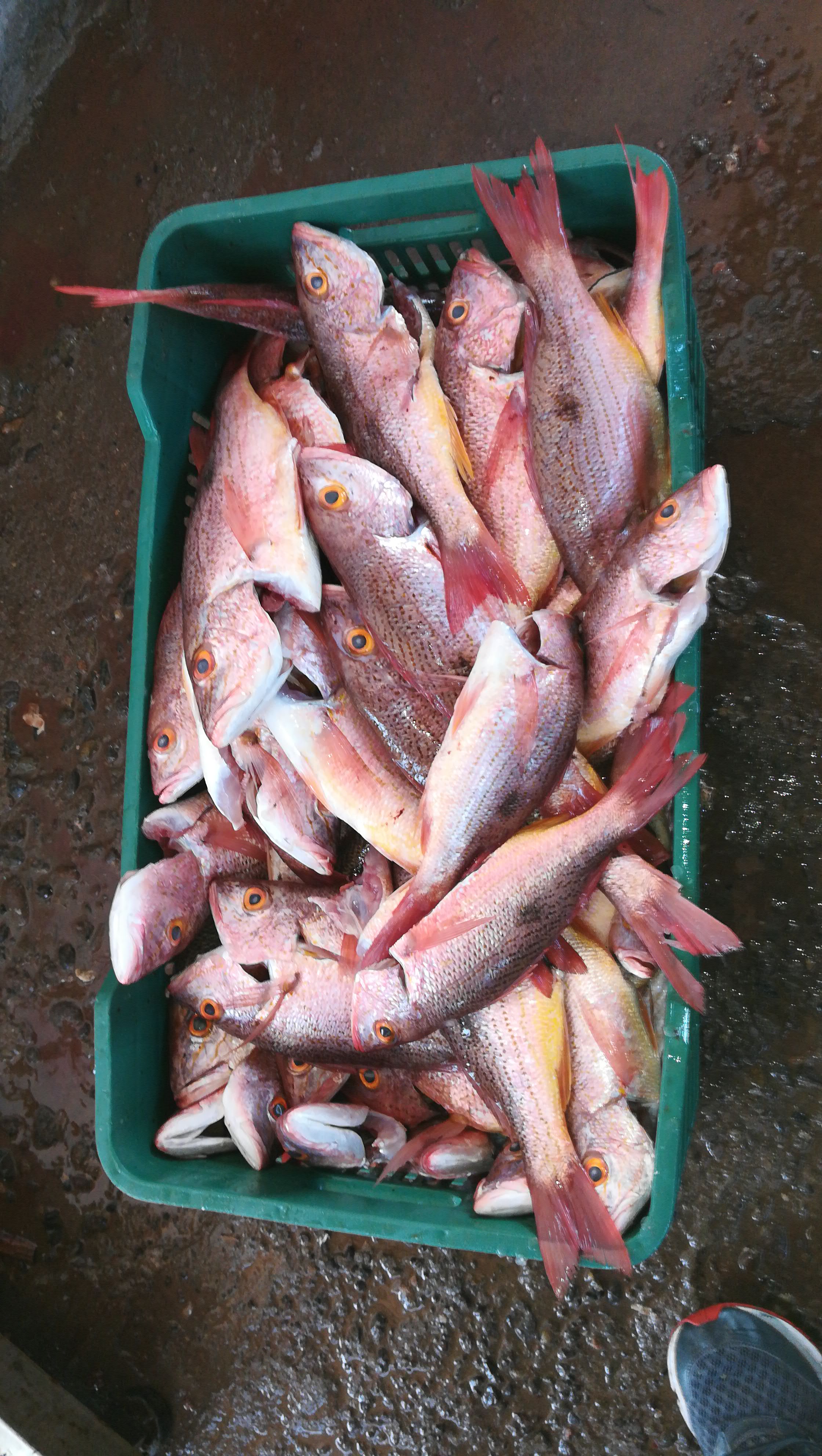 MARISCOS LOS PLEBES image 4