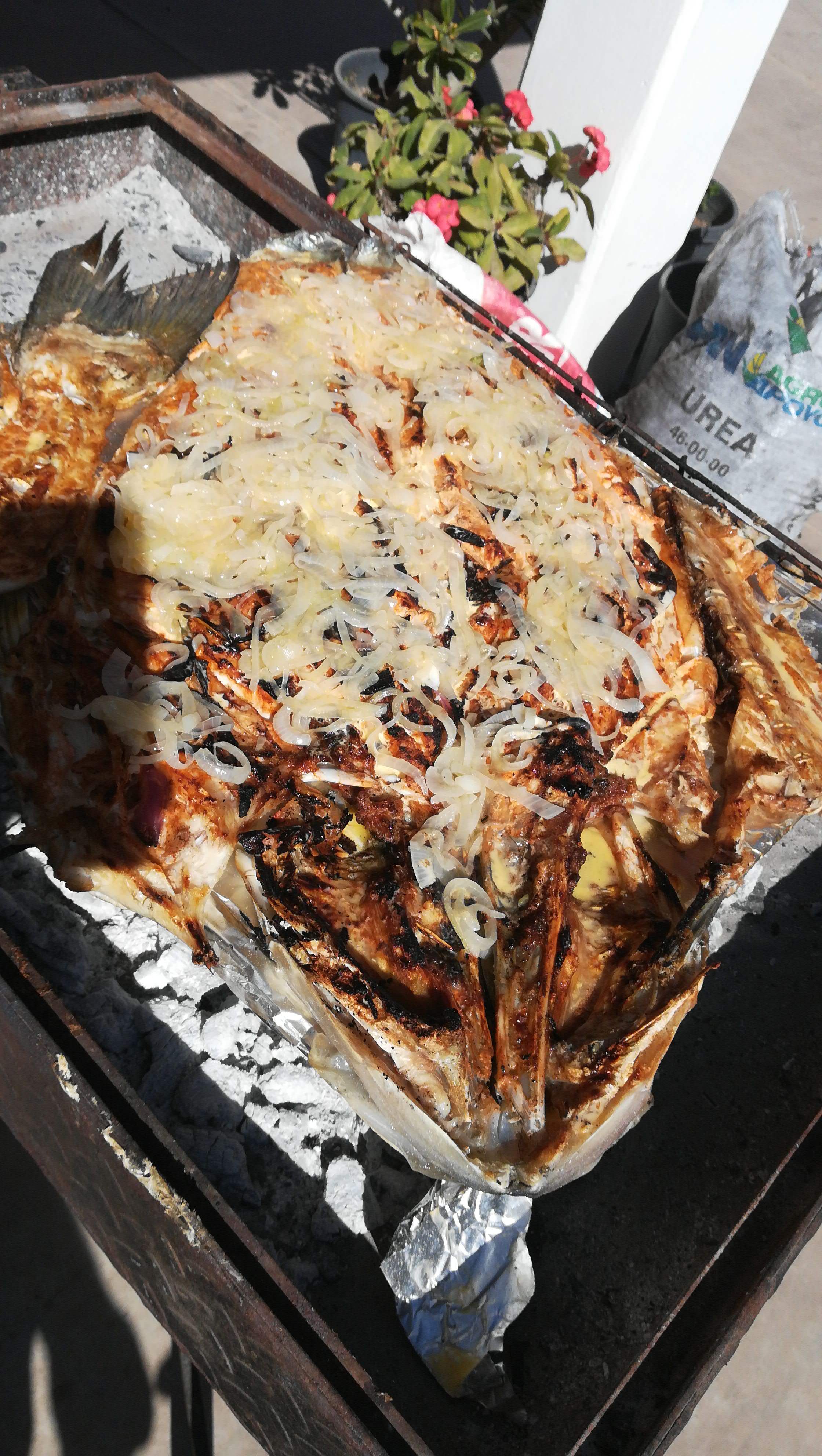 MARISCOS LOS PLEBES image 5