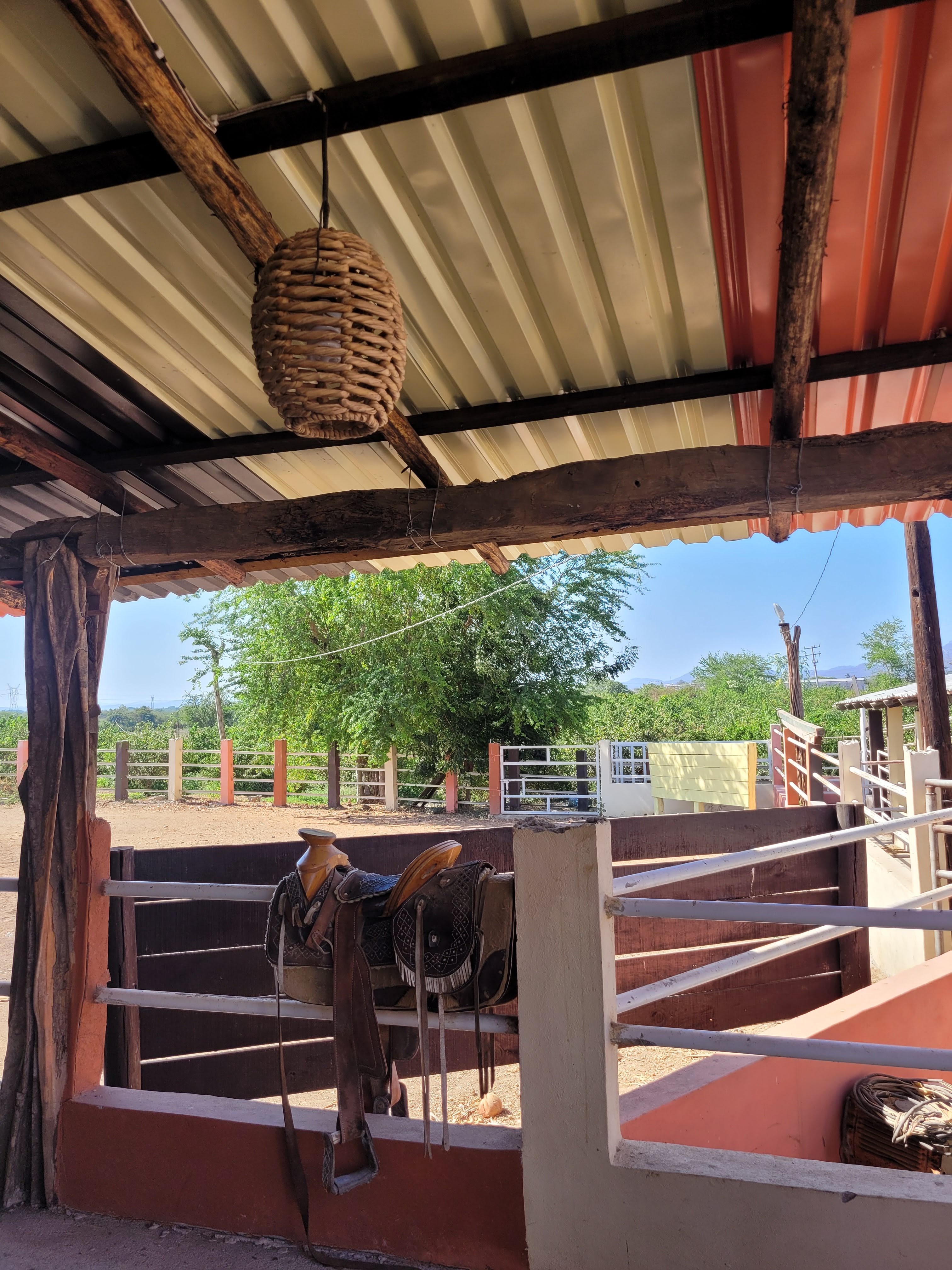 La Granja del Abuelo image 9