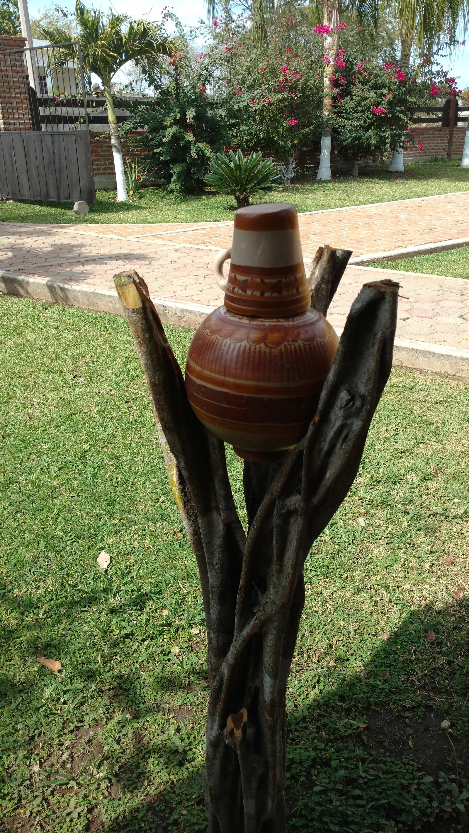 Campestre San Pancho image 10