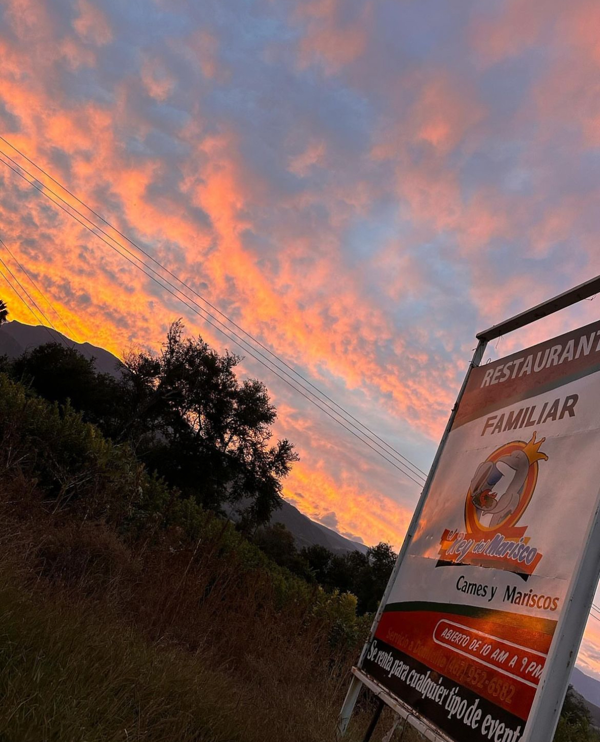 El Rey del Marisco image 10