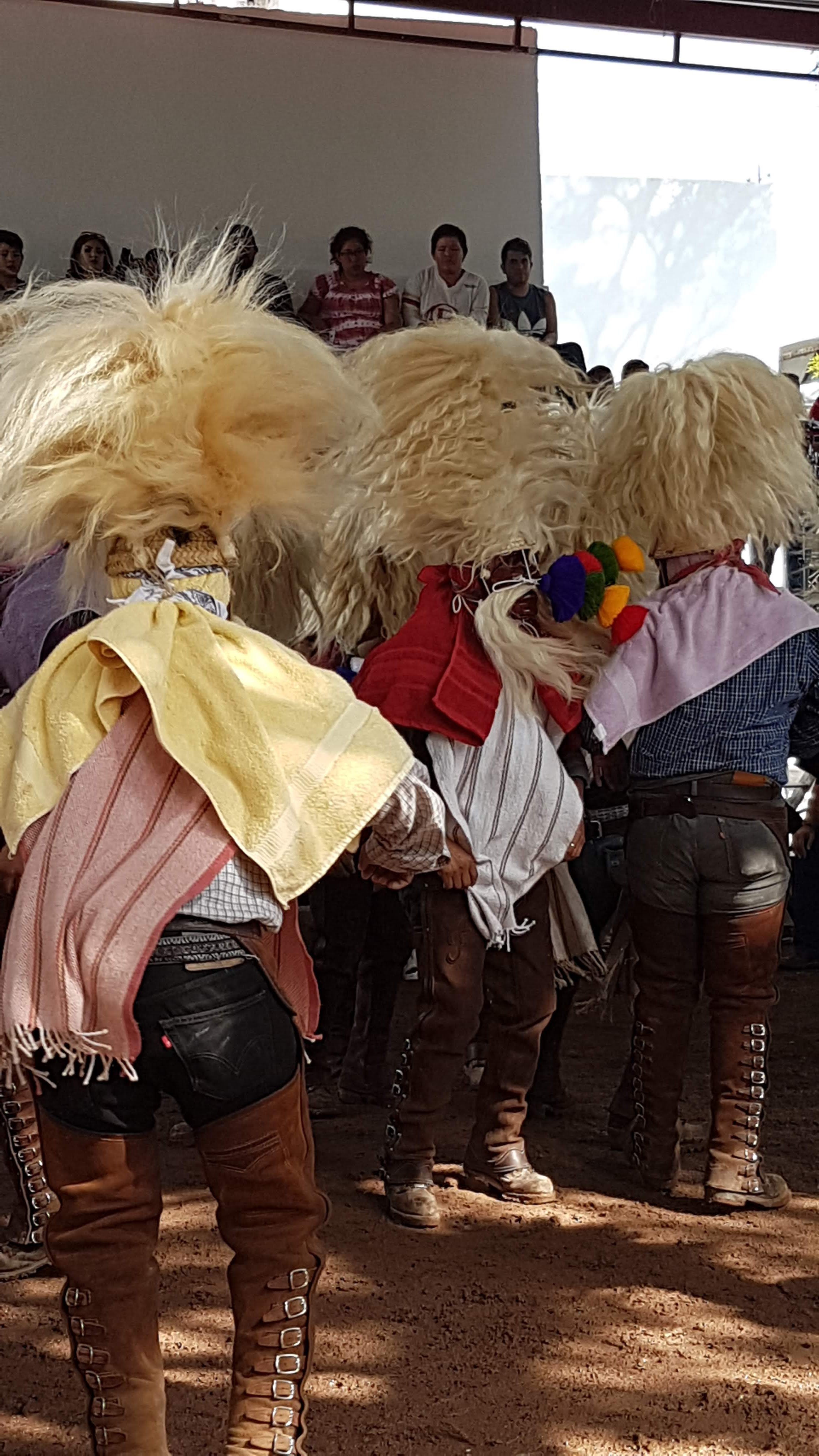 Pueblo Viejo image 8