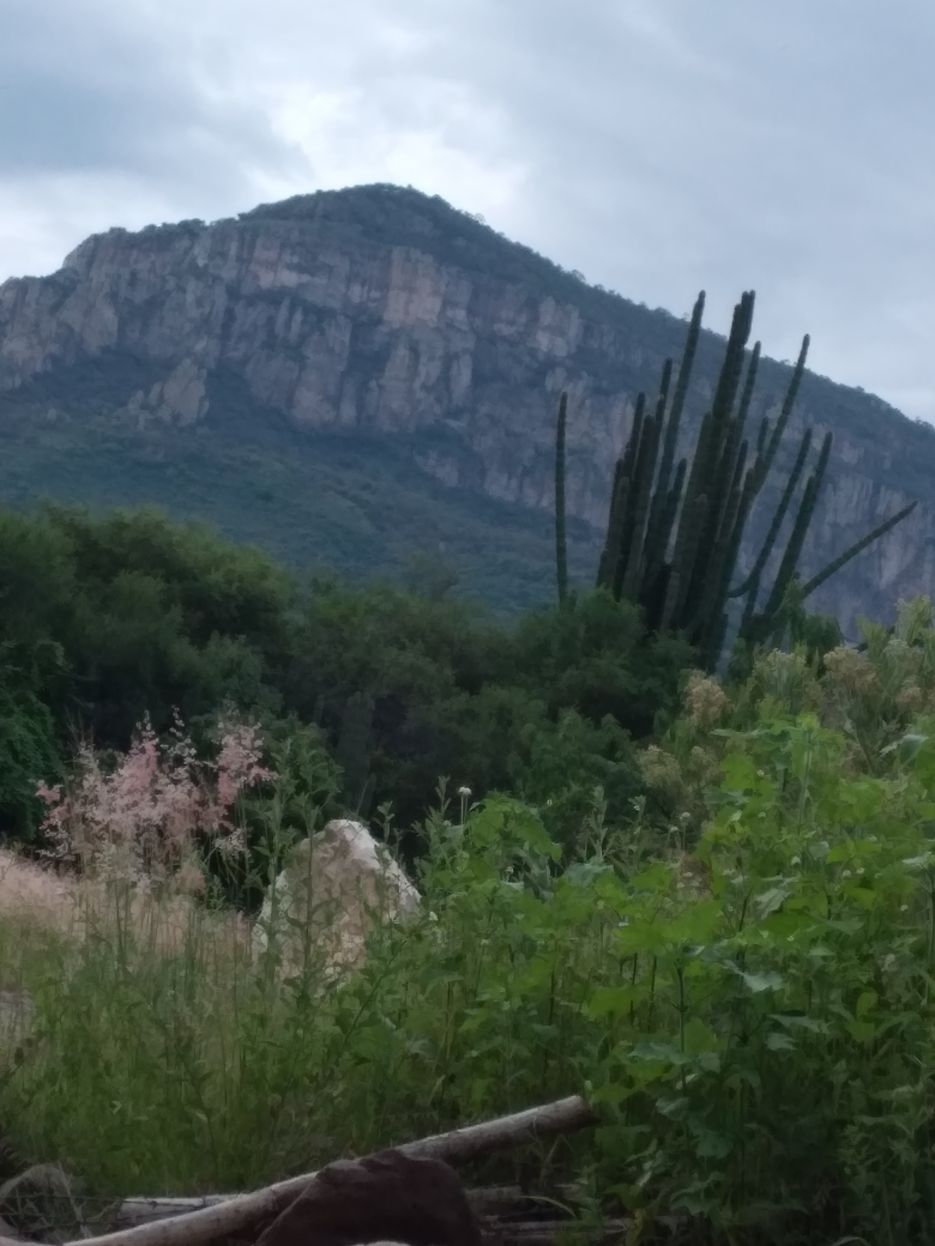 The Burguer Grill image 8