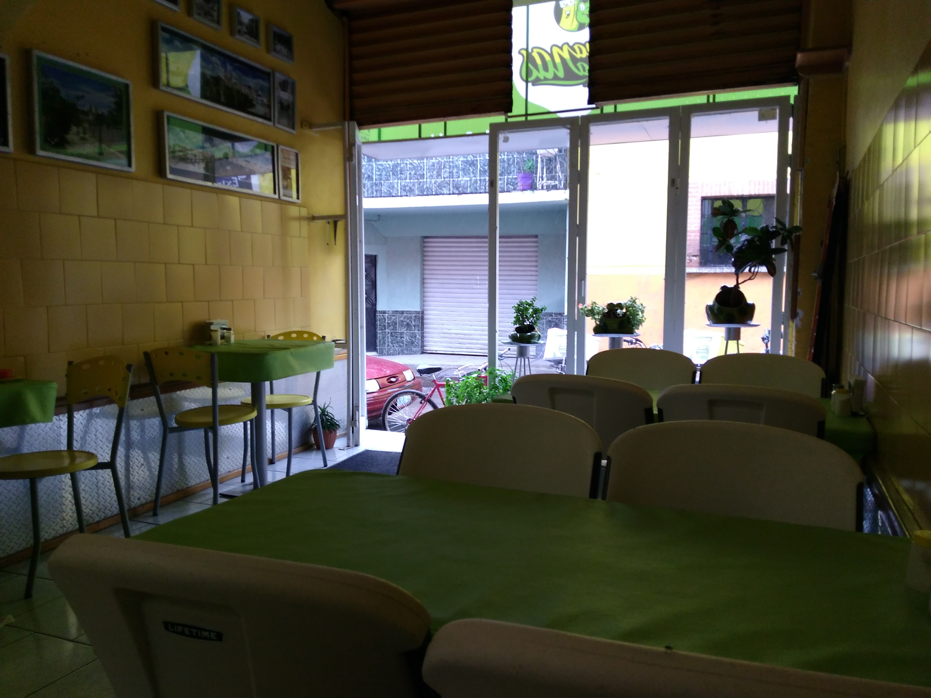 Bananas Ranas image 4