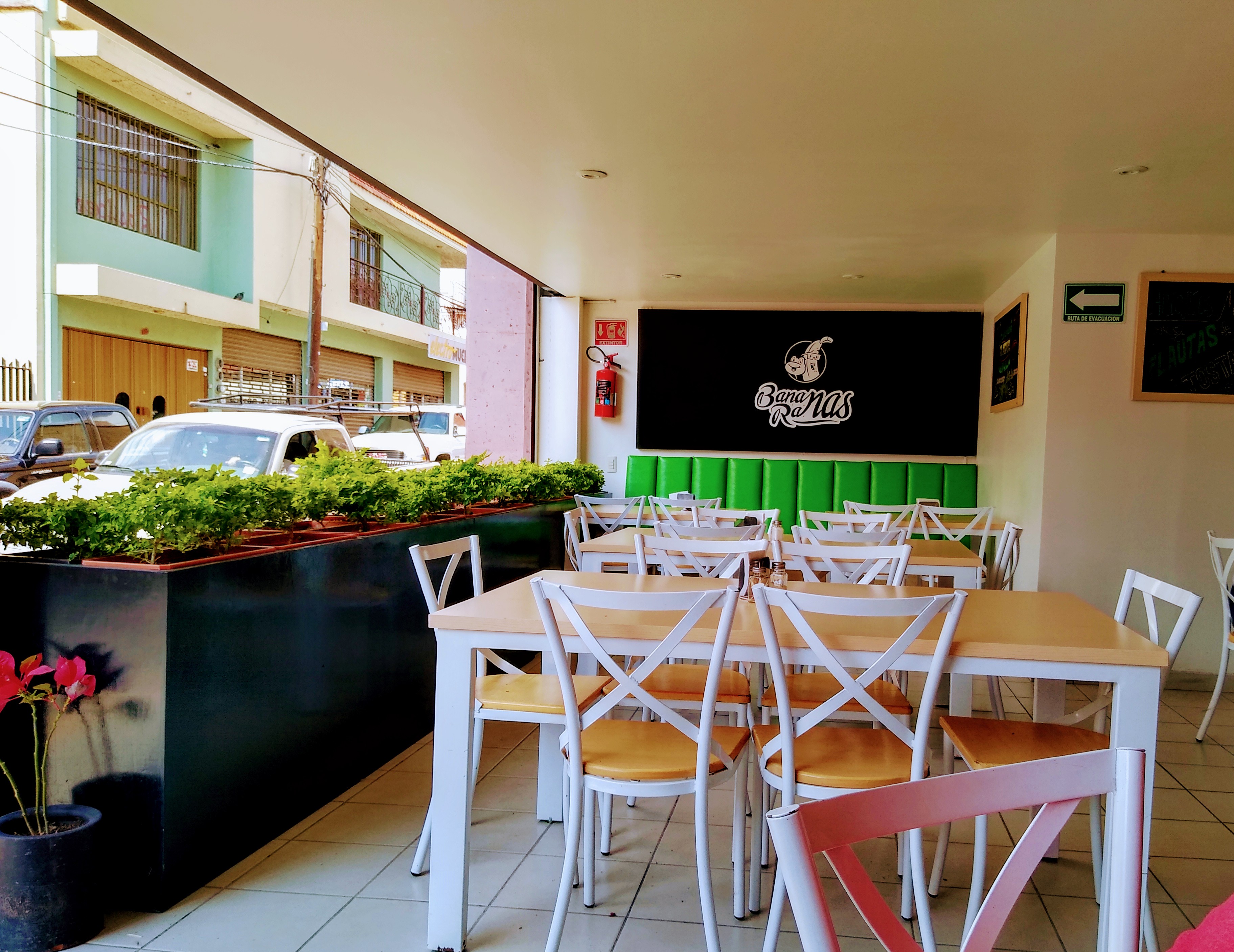 Bananas Ranas image 6