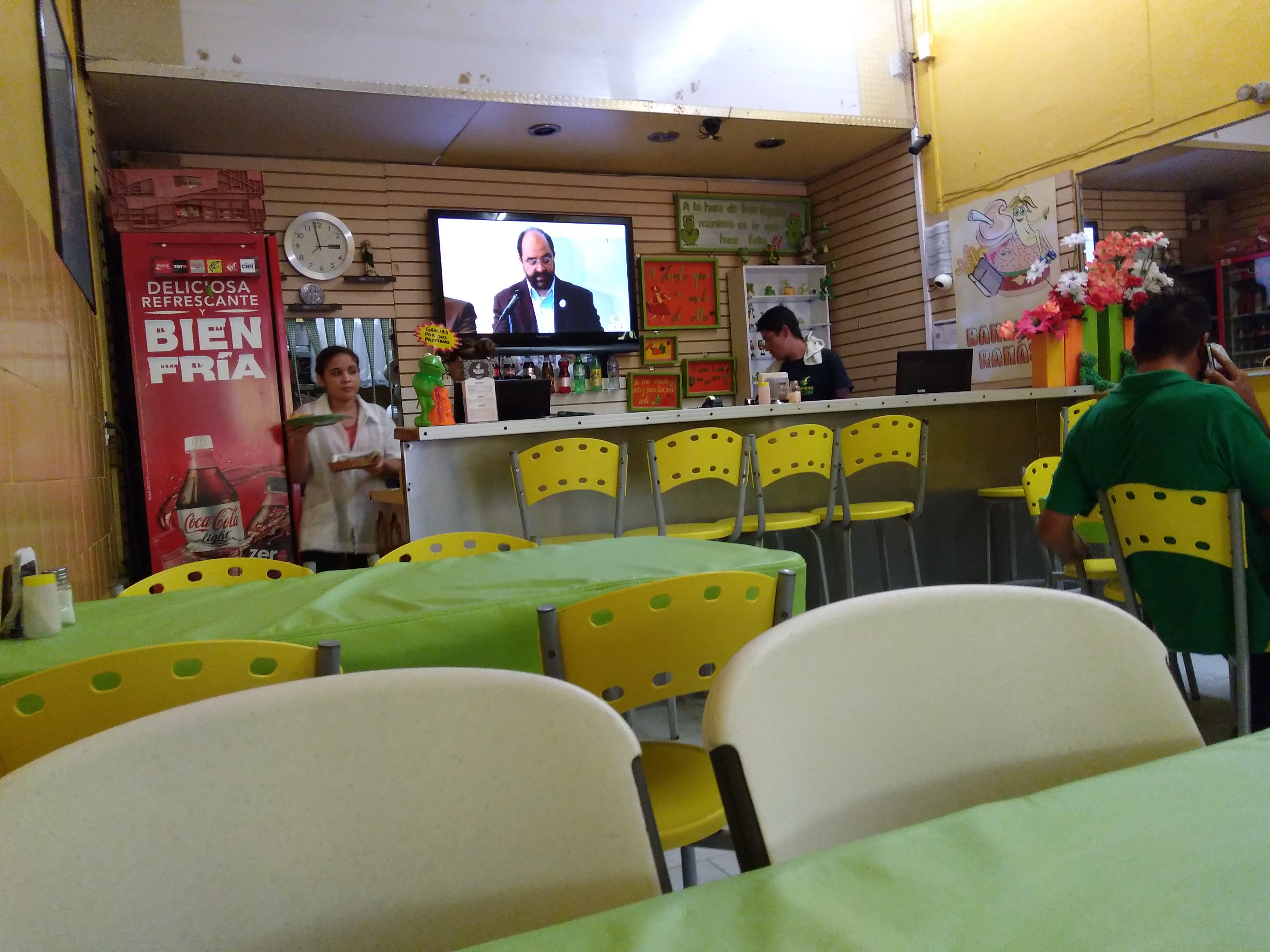 Bananas Ranas image 7