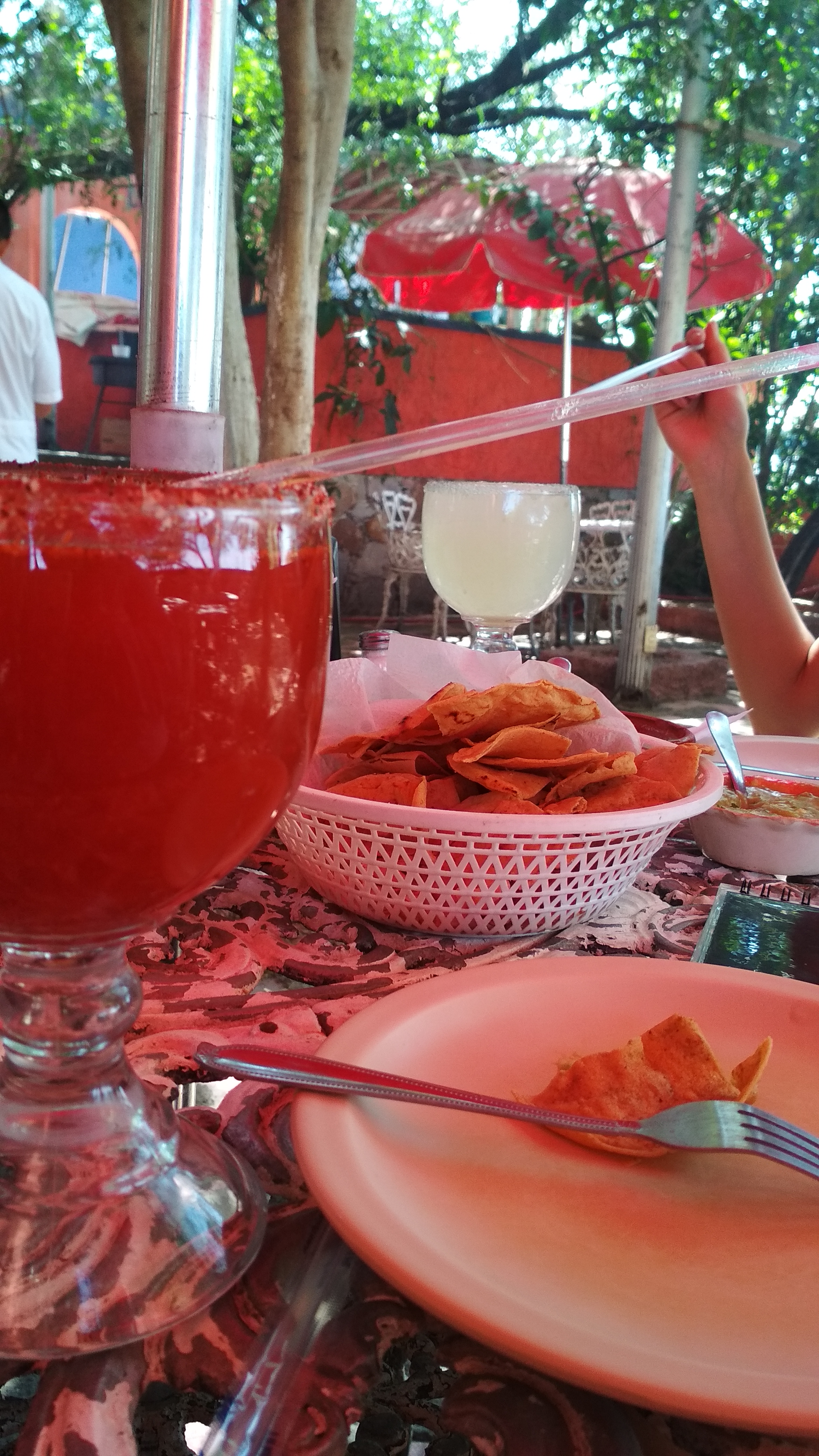 Carnitas “El Palenque” image 9