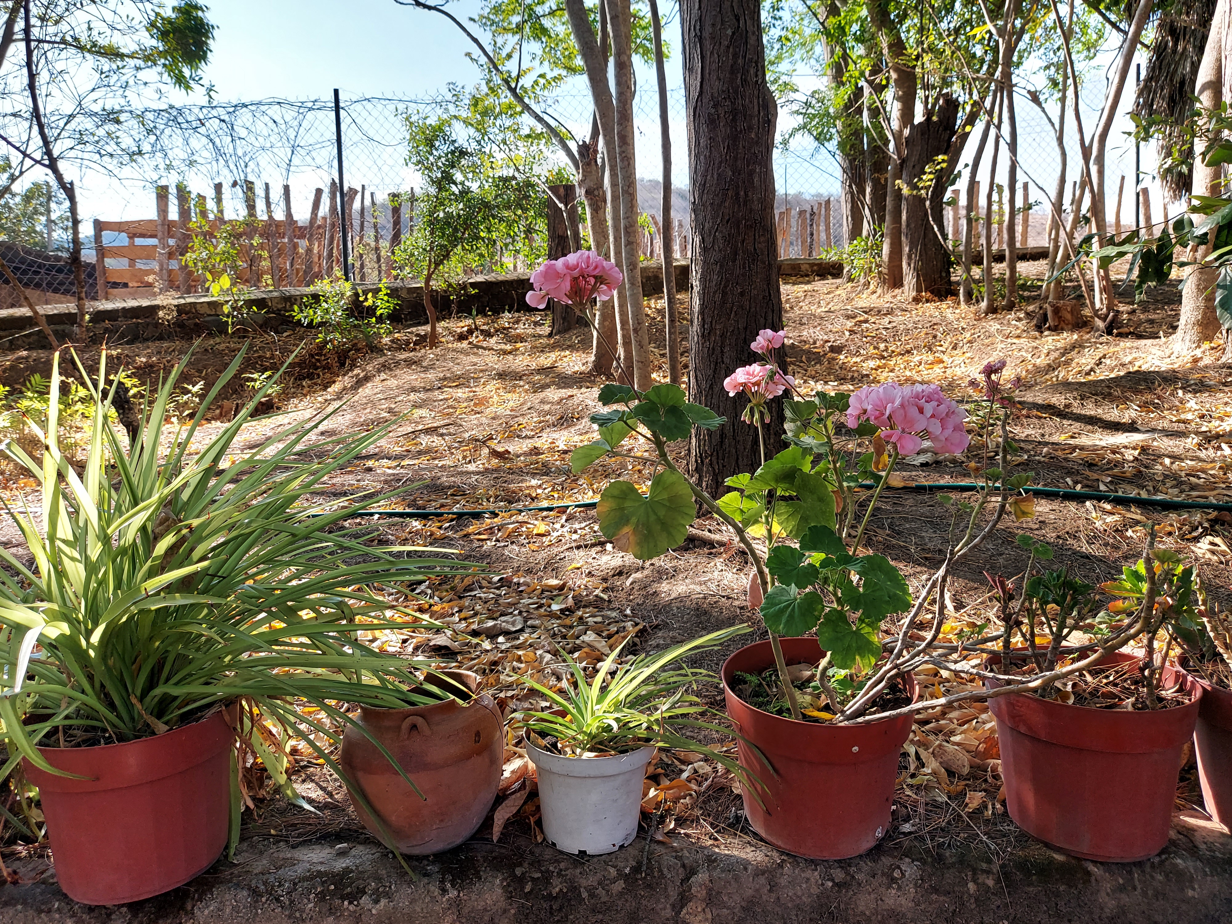 Cenaduría "Juan Pablo II" image 4