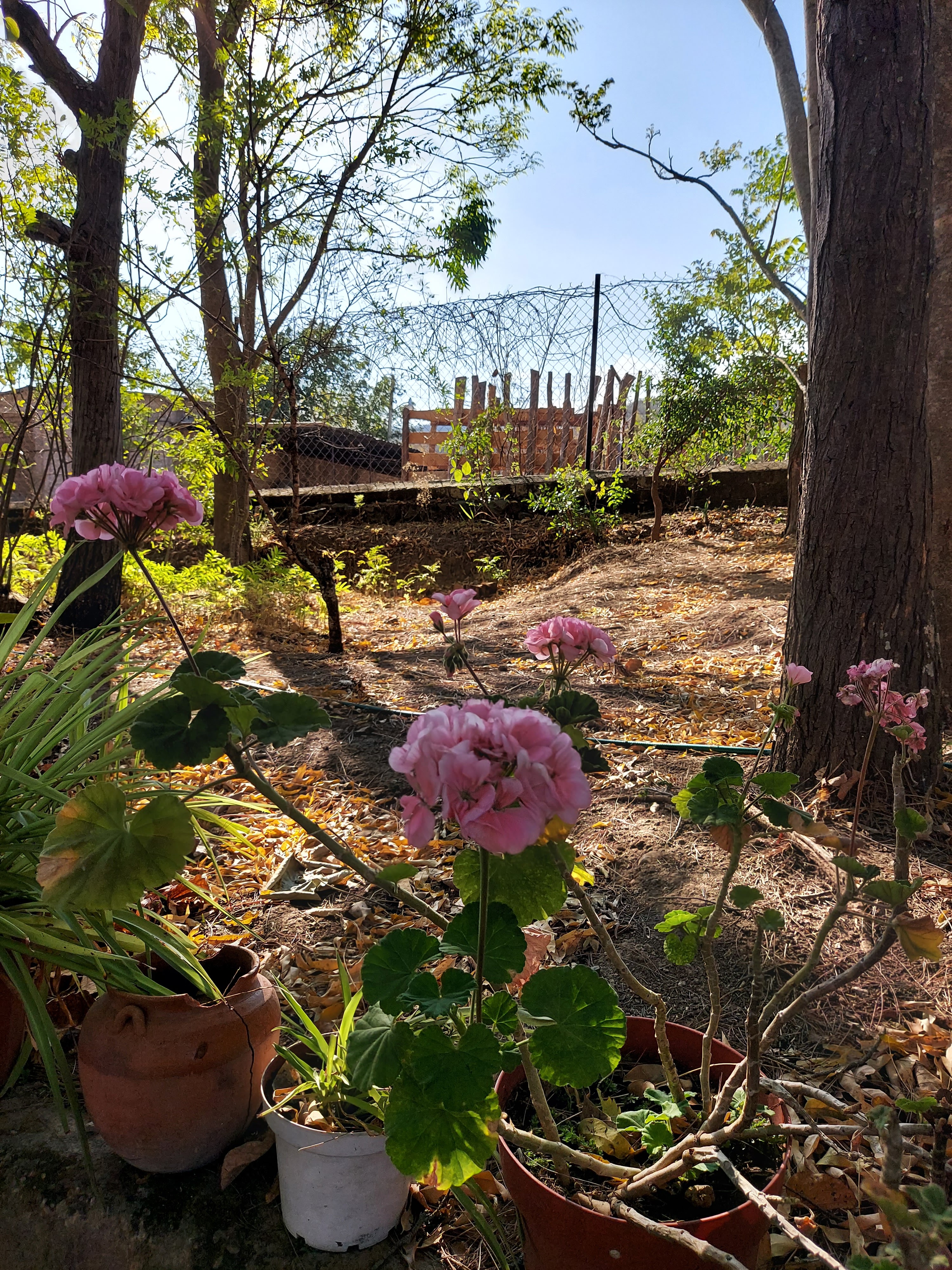 Cenaduría "Juan Pablo II" image 5