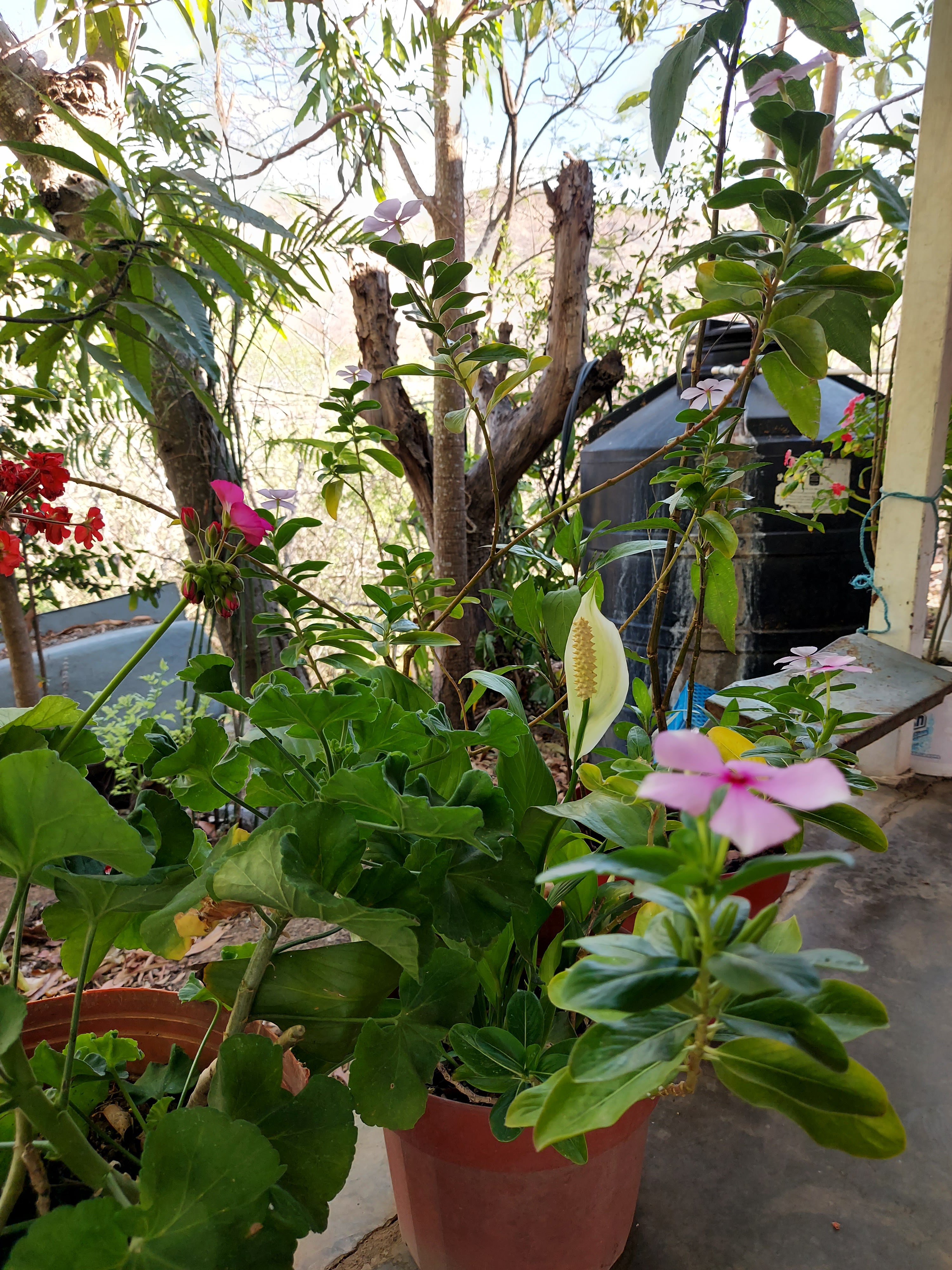 Cenaduría "Juan Pablo II" image 6