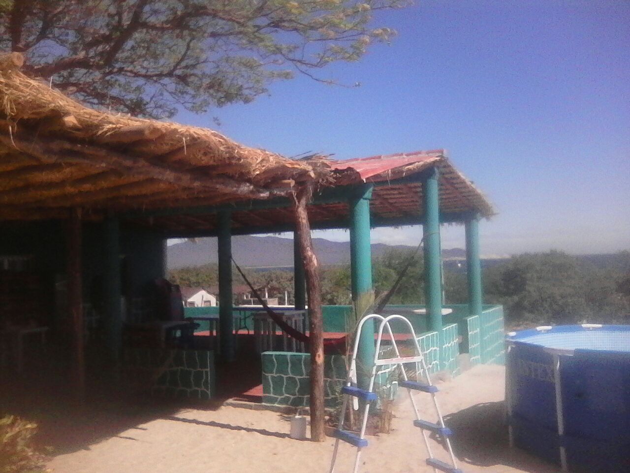 Las Palmas Restaurant image 3