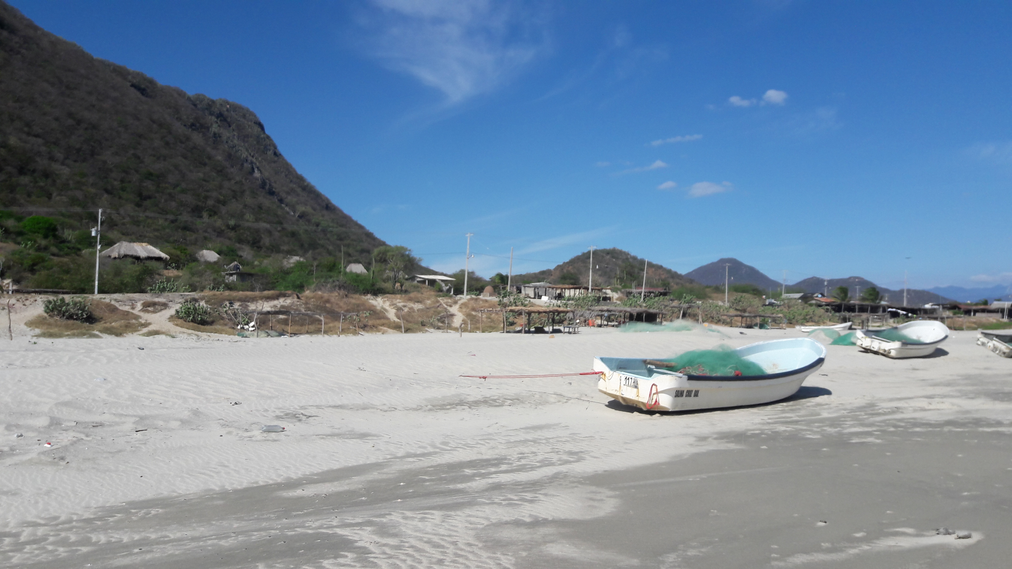 Las Palmas Restaurant image 6