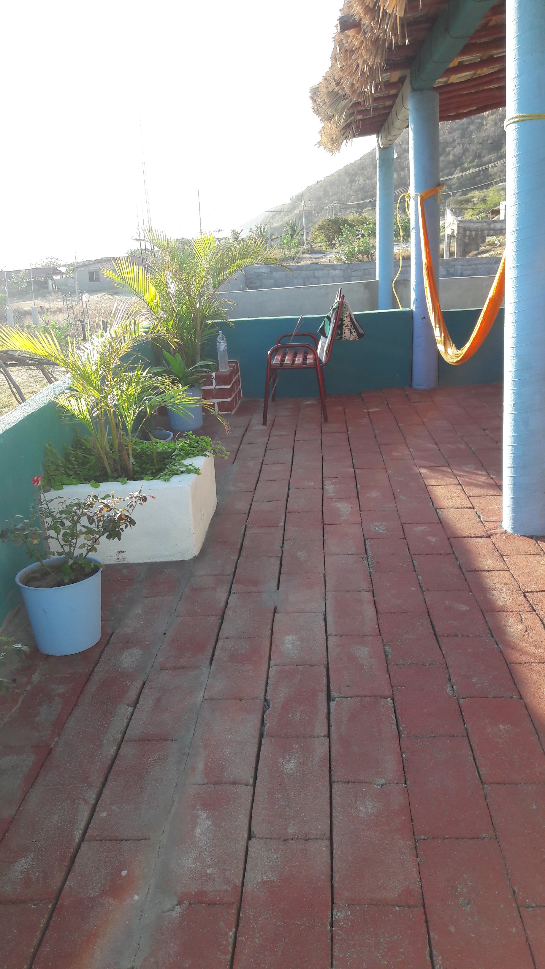 Las Palmas Restaurant image 10