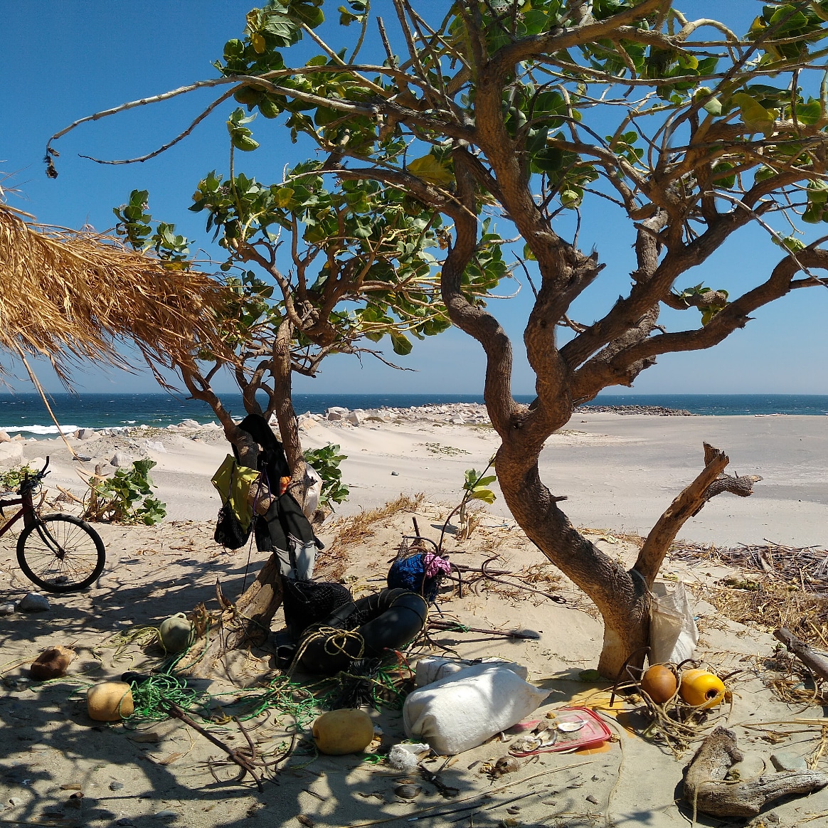 Blue Rock Restaurant & Surf Camp image 8